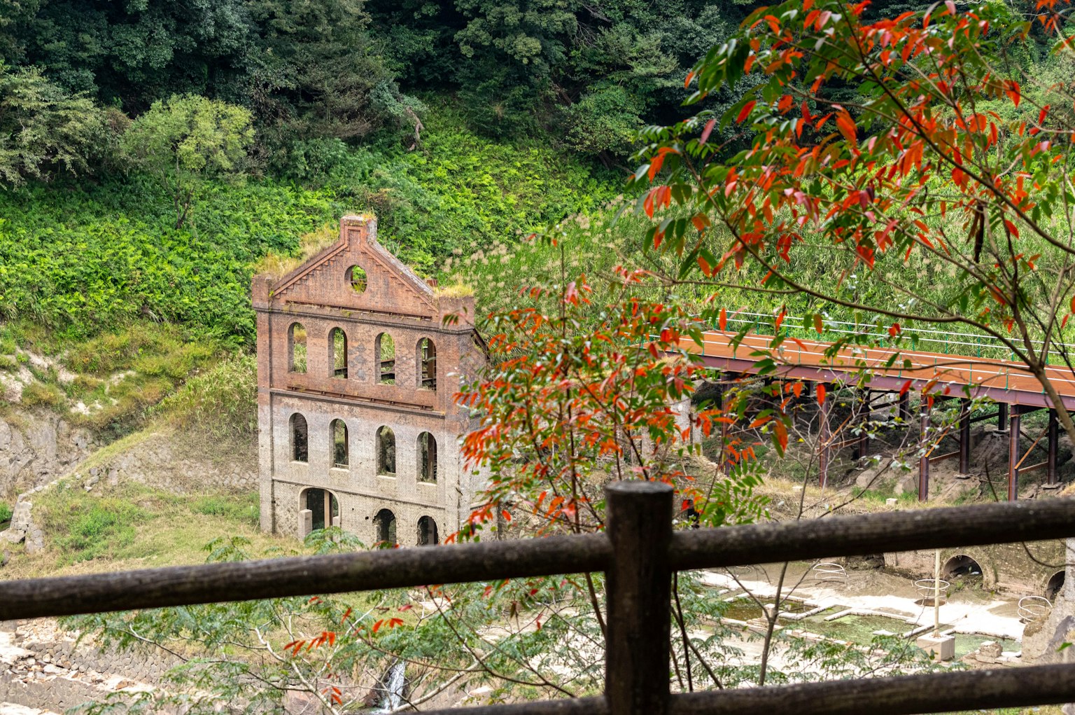 Ruined building surrounded by lush greenery