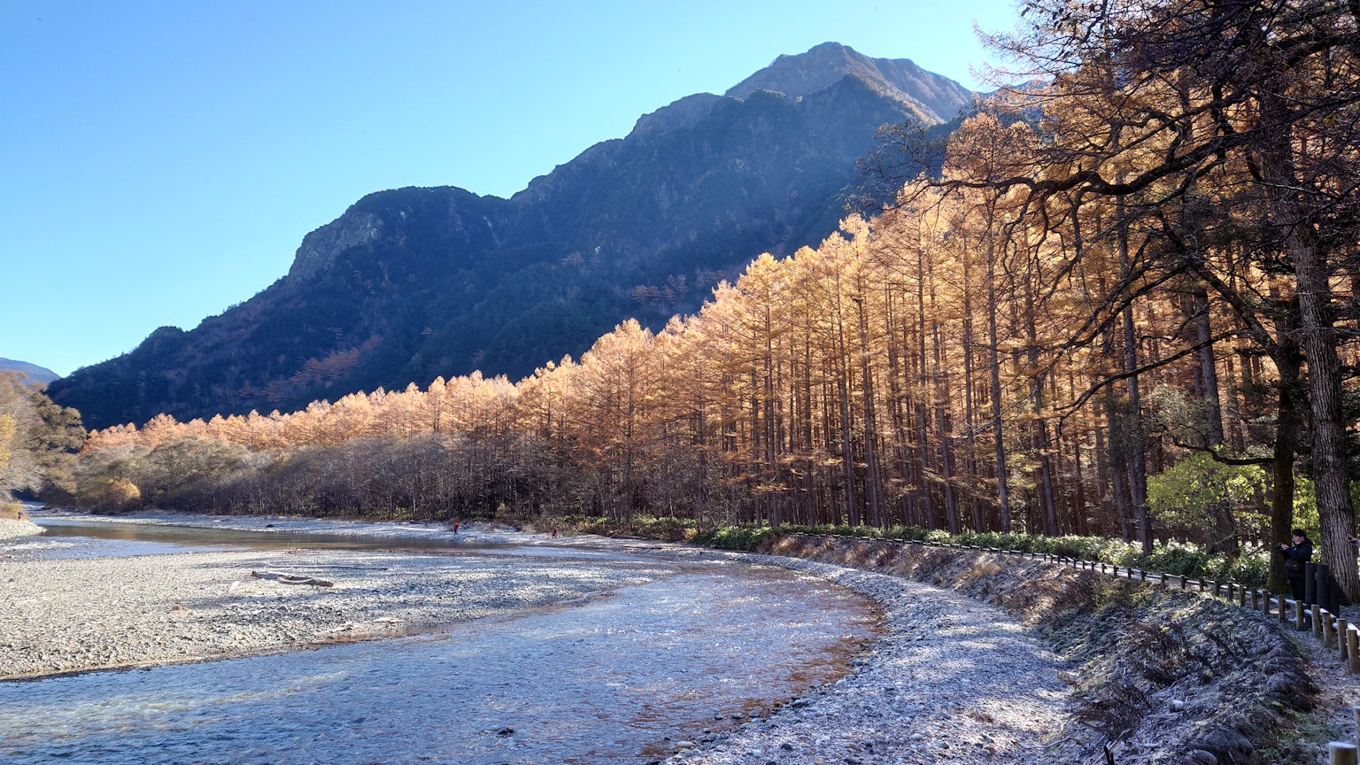 Landschaftsansicht eines Flusses mit goldenen Bäumen und Bergen