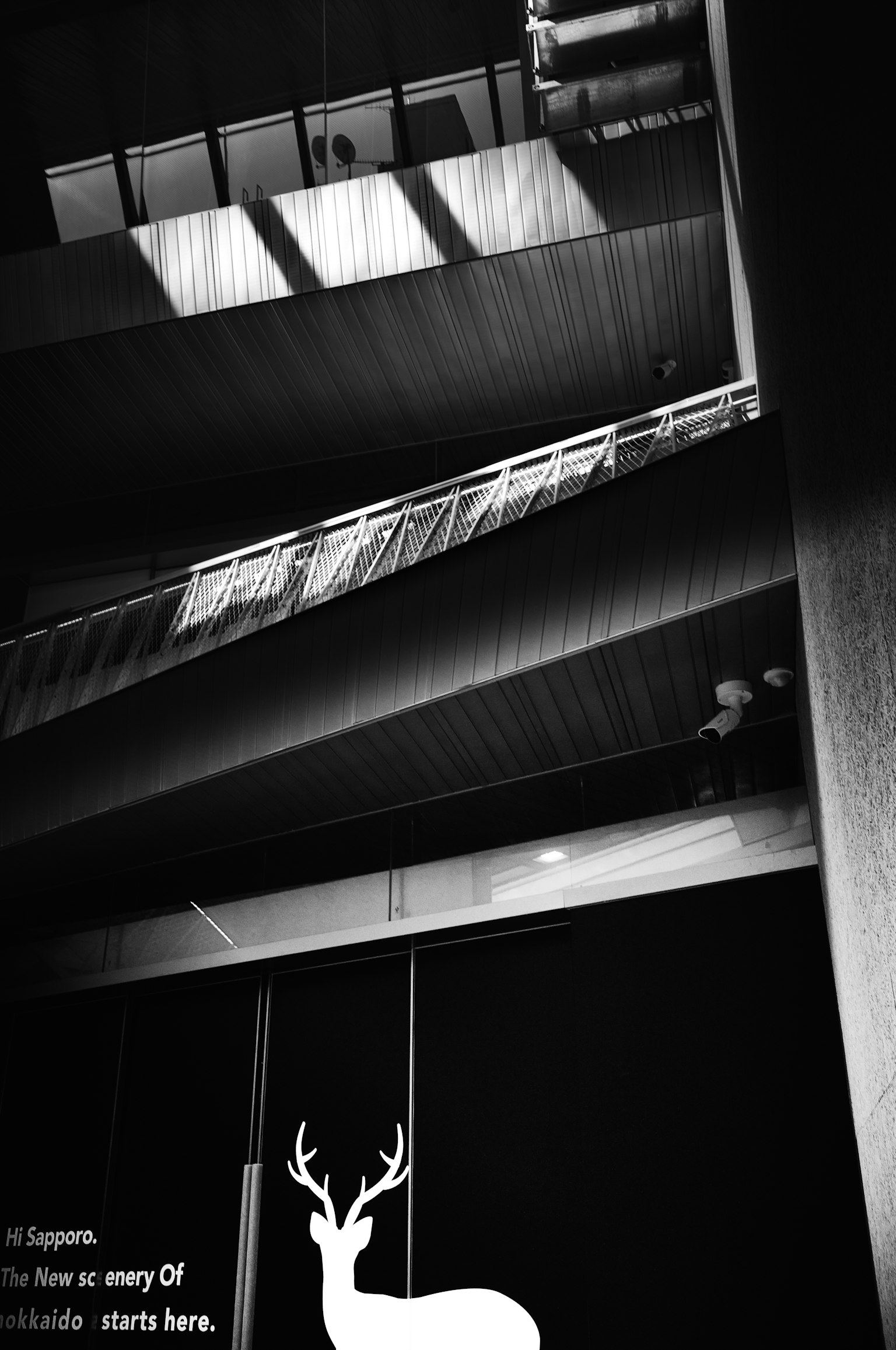 Immagine in bianco e nero di un interno di edificio moderno La luce filtra dalle finestre illuminando la scala Una silhouette di cervo è raffigurata in basso