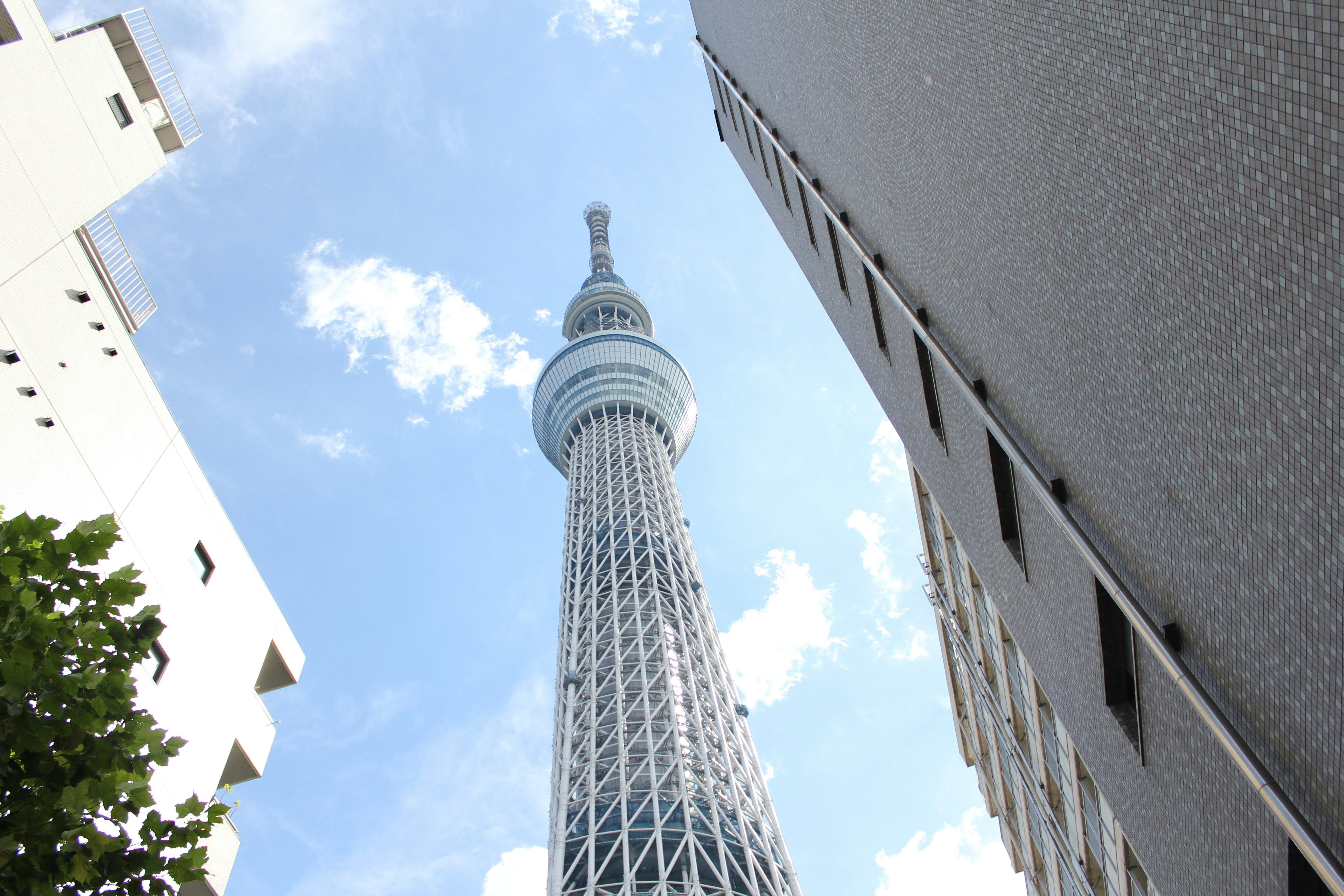 空にそびえる東京スカイツリーと周囲の建物