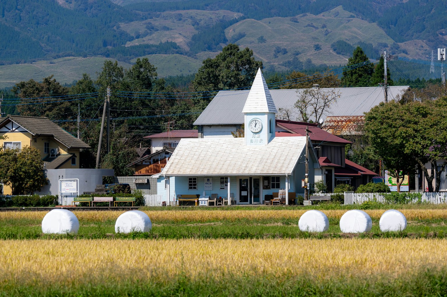 A blue house and a church in the middle of a rice field