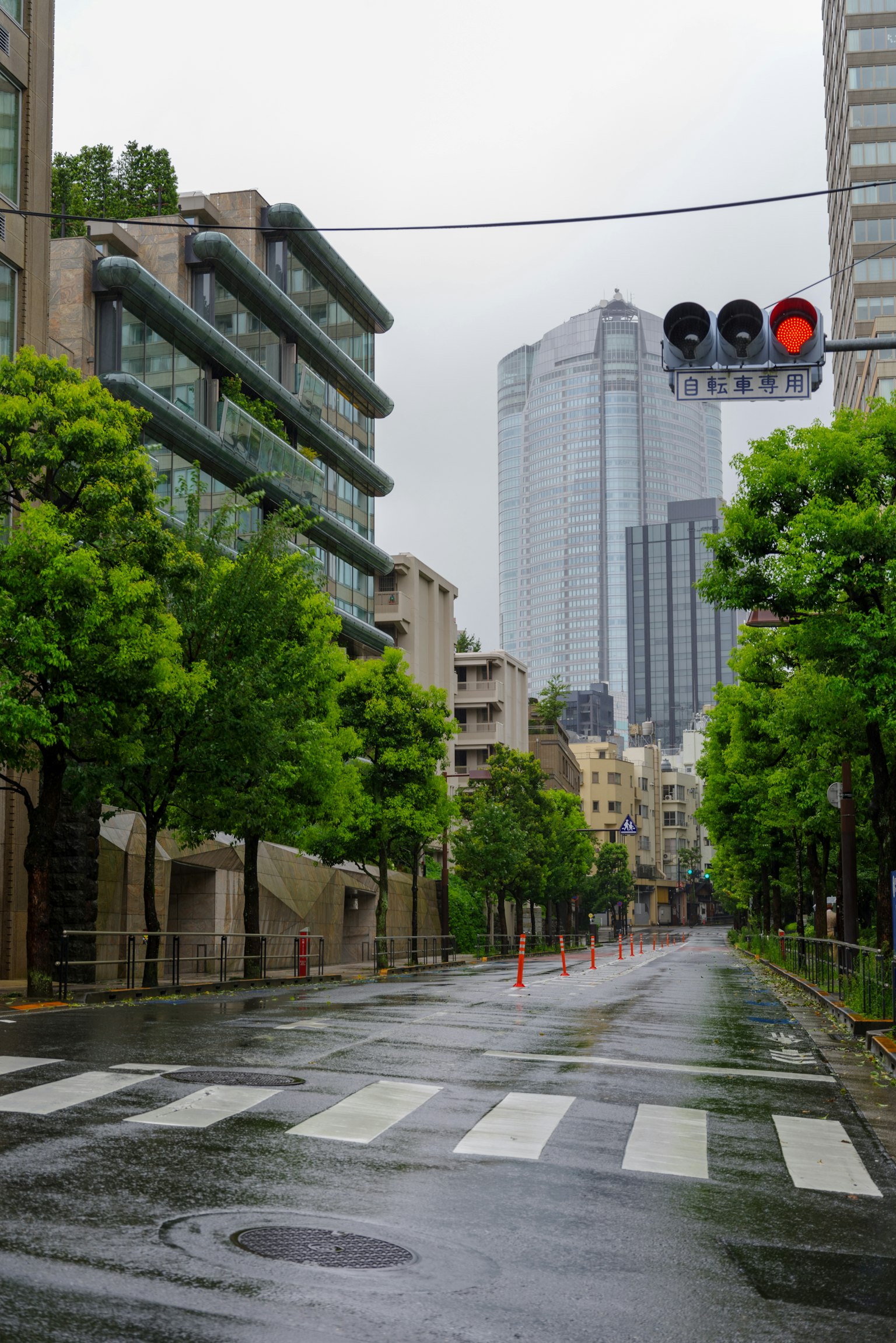 Strada urbana sotto la pioggia con semaforo e alberi verdi