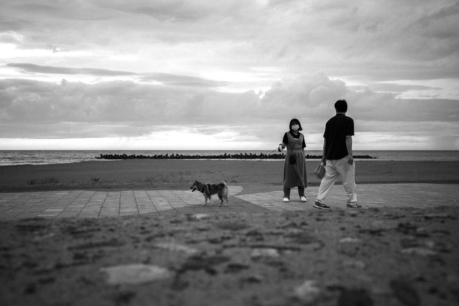 ภาพขาวดำของคู่รักที่เดินเล่นริมชายหาดพร้อมสุนัข