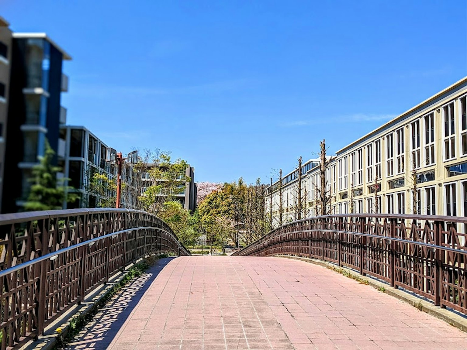 藍天下的人行橋與周圍建築