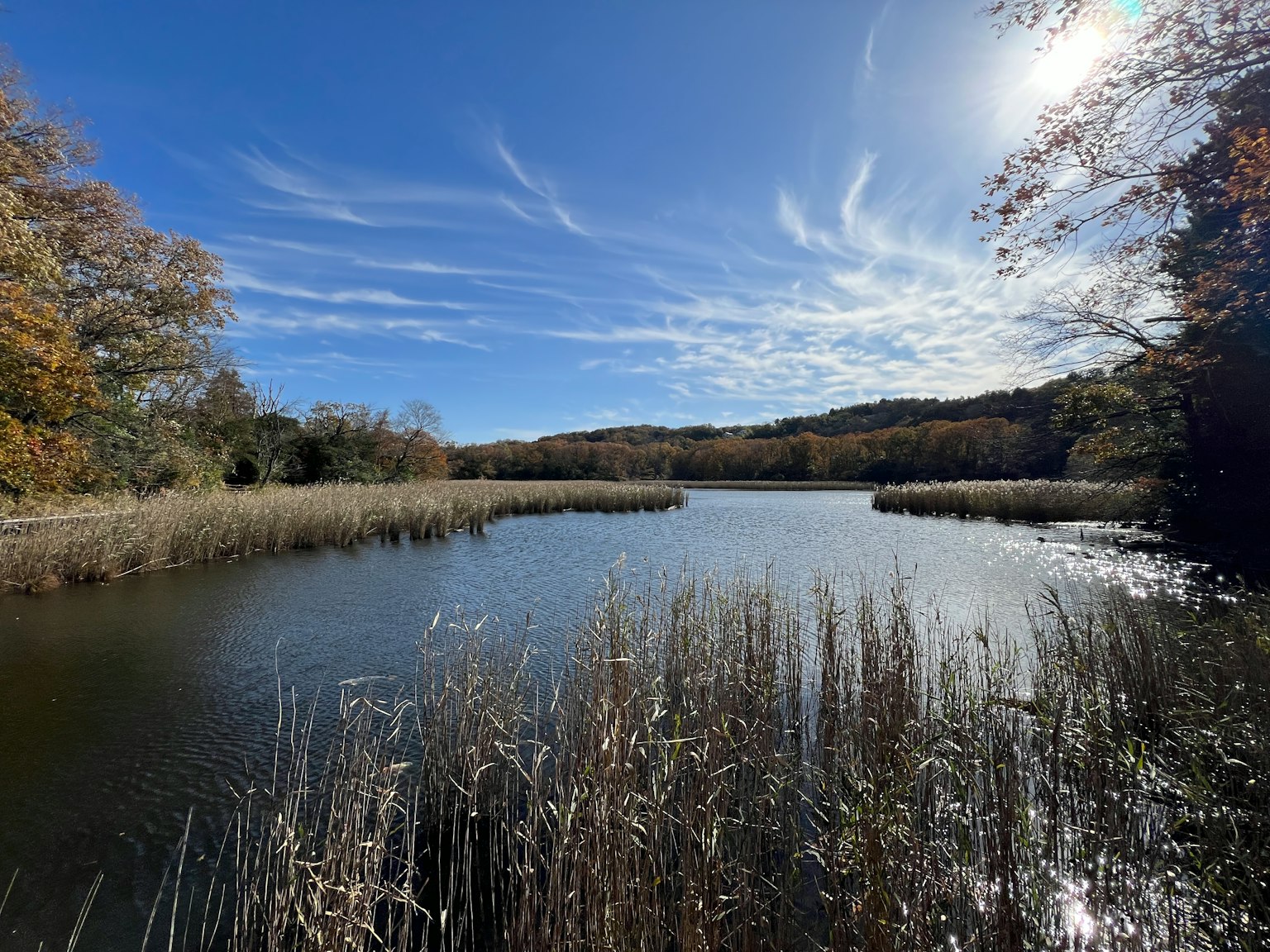 Calm lake with blue sky and autumn foliage