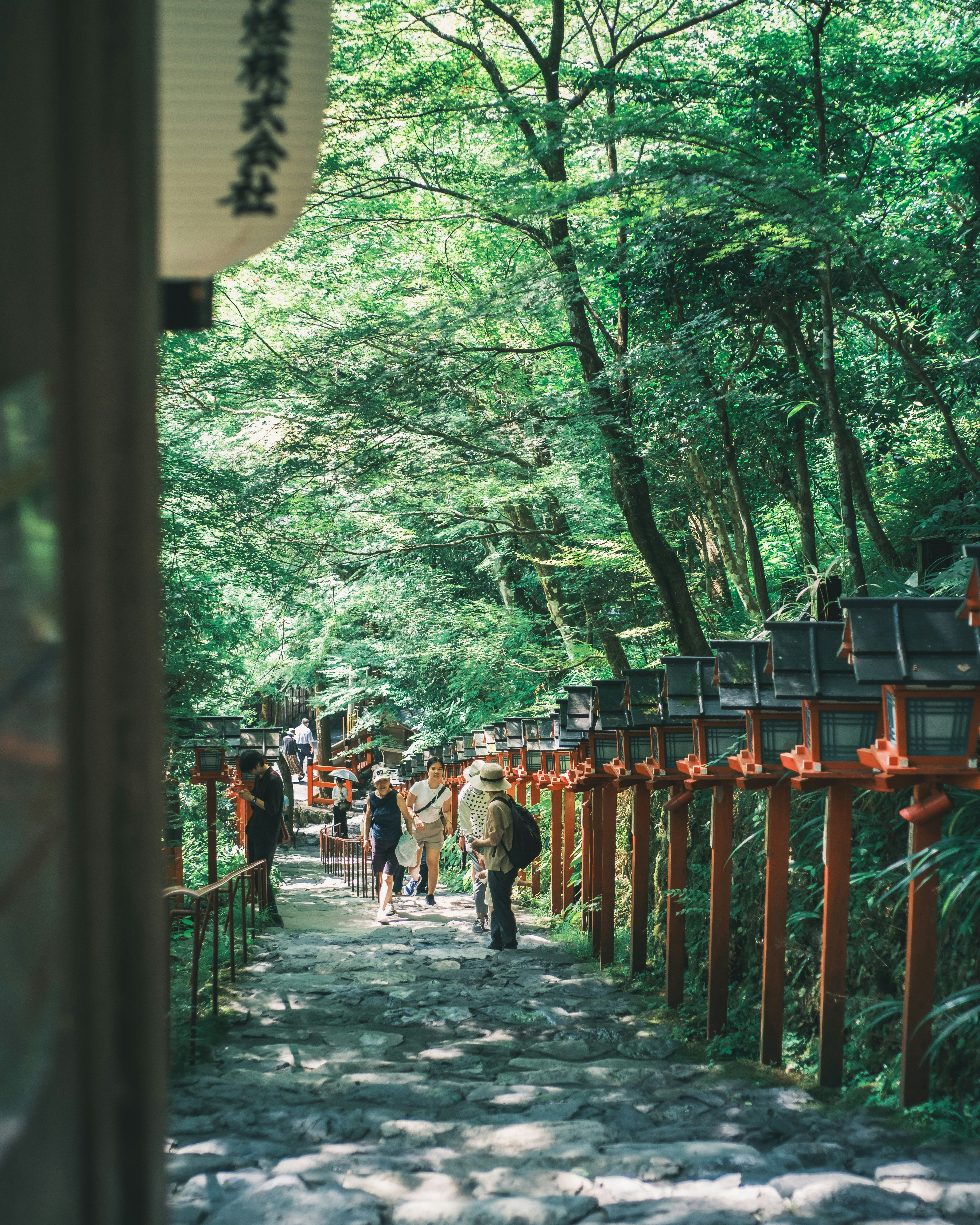 A stone-paved path along a shrine approach in Kuramae with vermilion lanterns amid fresh greenery