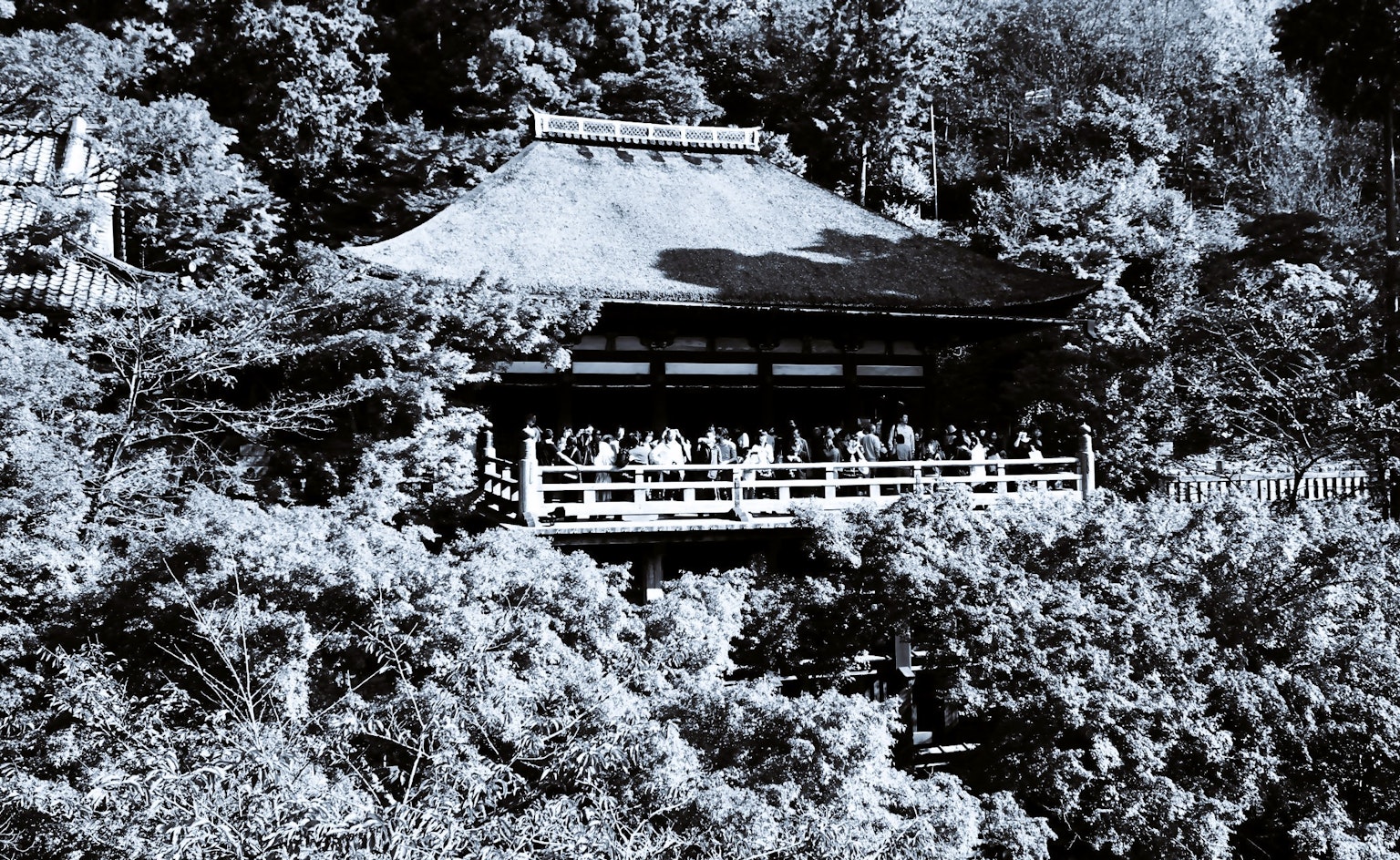 Foto hitam putih bangunan tradisional Jepang dikelilingi pohon
