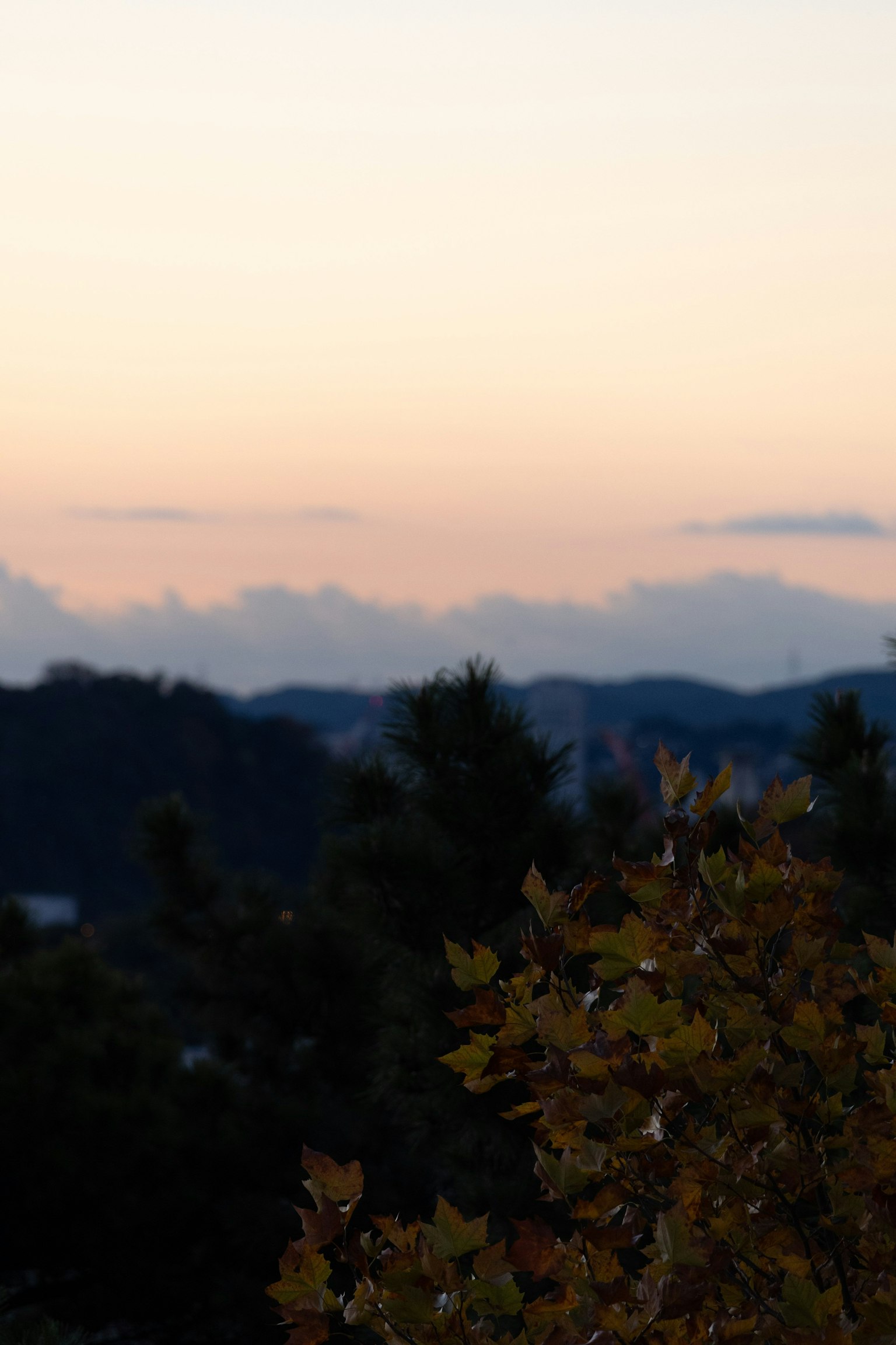 日落天空和山脈輪廓的風景 秋天的葉子在前景中