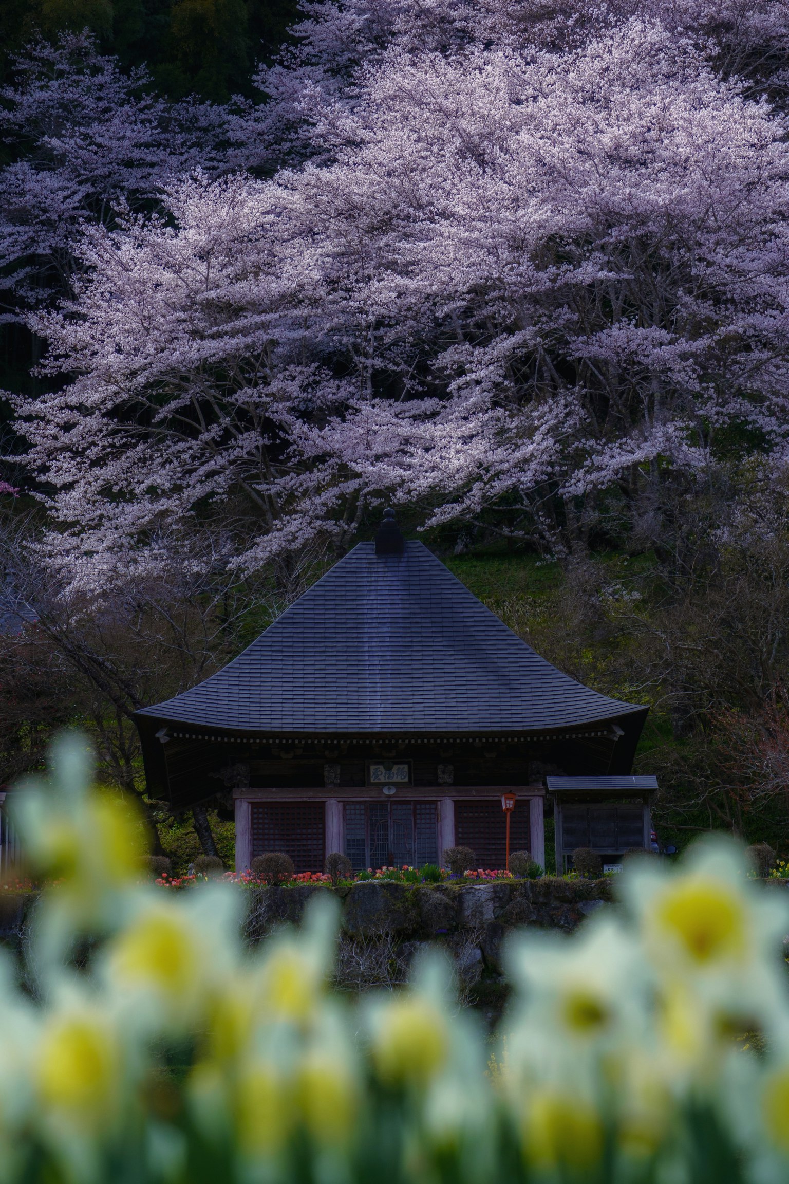 photo-s6oI4XcI91J4Wp11XLe0-image