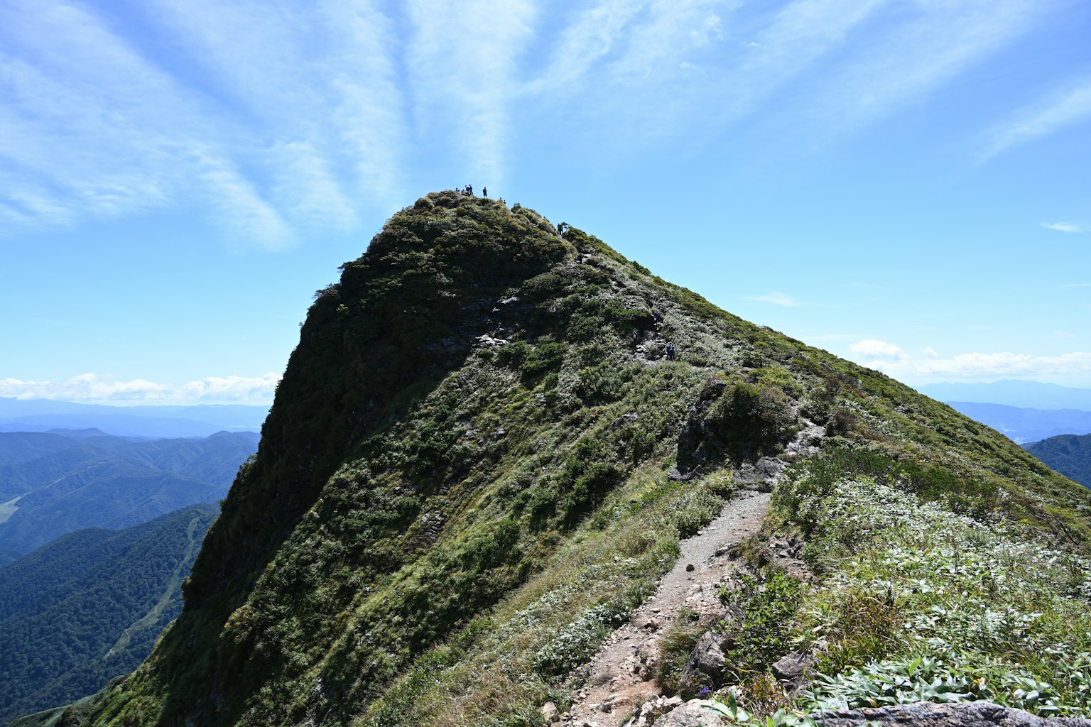 Puncak gunung dengan vegetasi subur di bawah langit biru