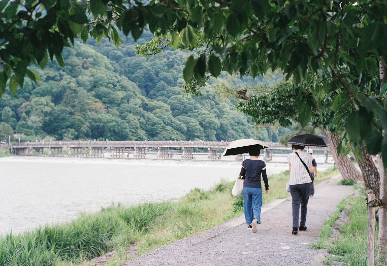 两位女性在河边步道上撑着伞散步