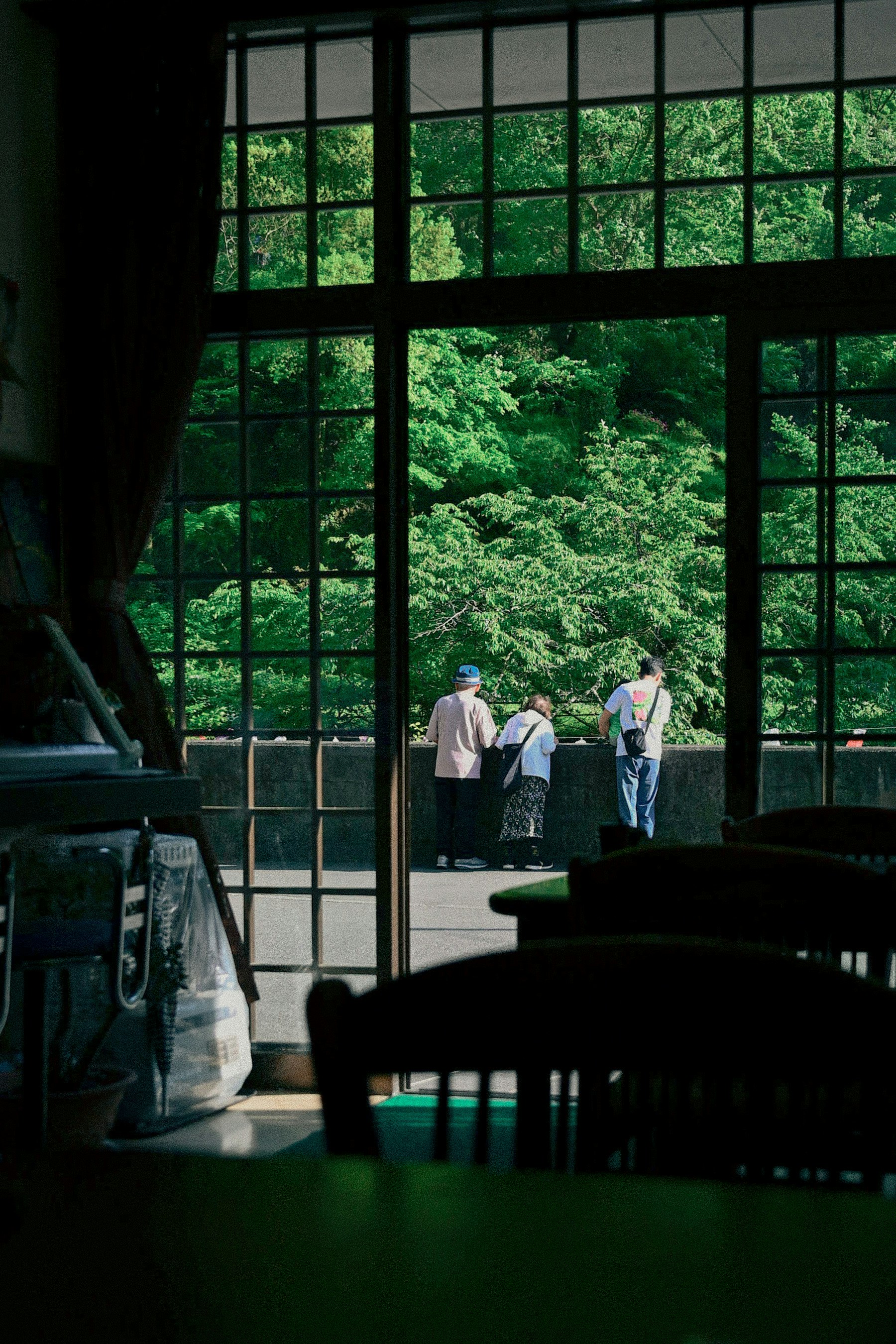 People seen from behind looking out through a window at lush greenery