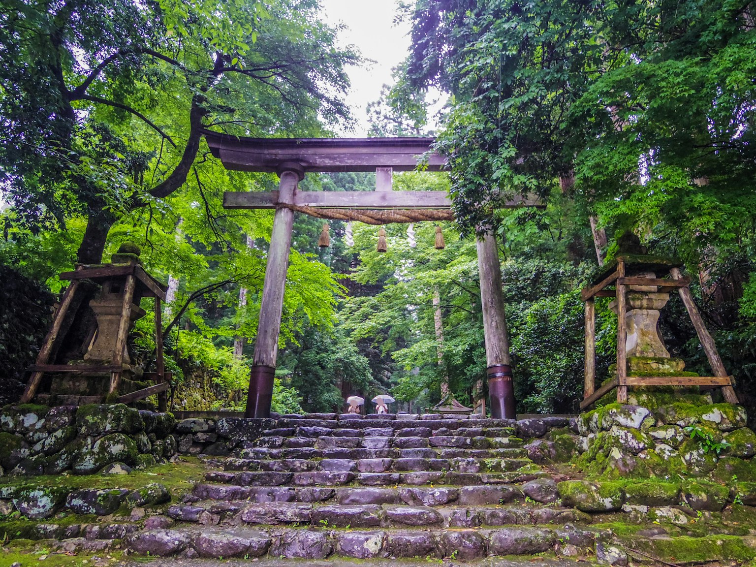 Pemandangan indah dari gerbang torii dikelilingi oleh pepohonan dan tangga batu