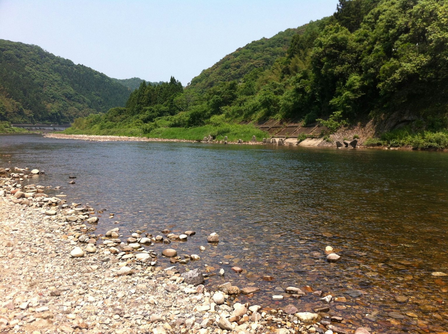 조용한 강과 배경의 녹색 언덕