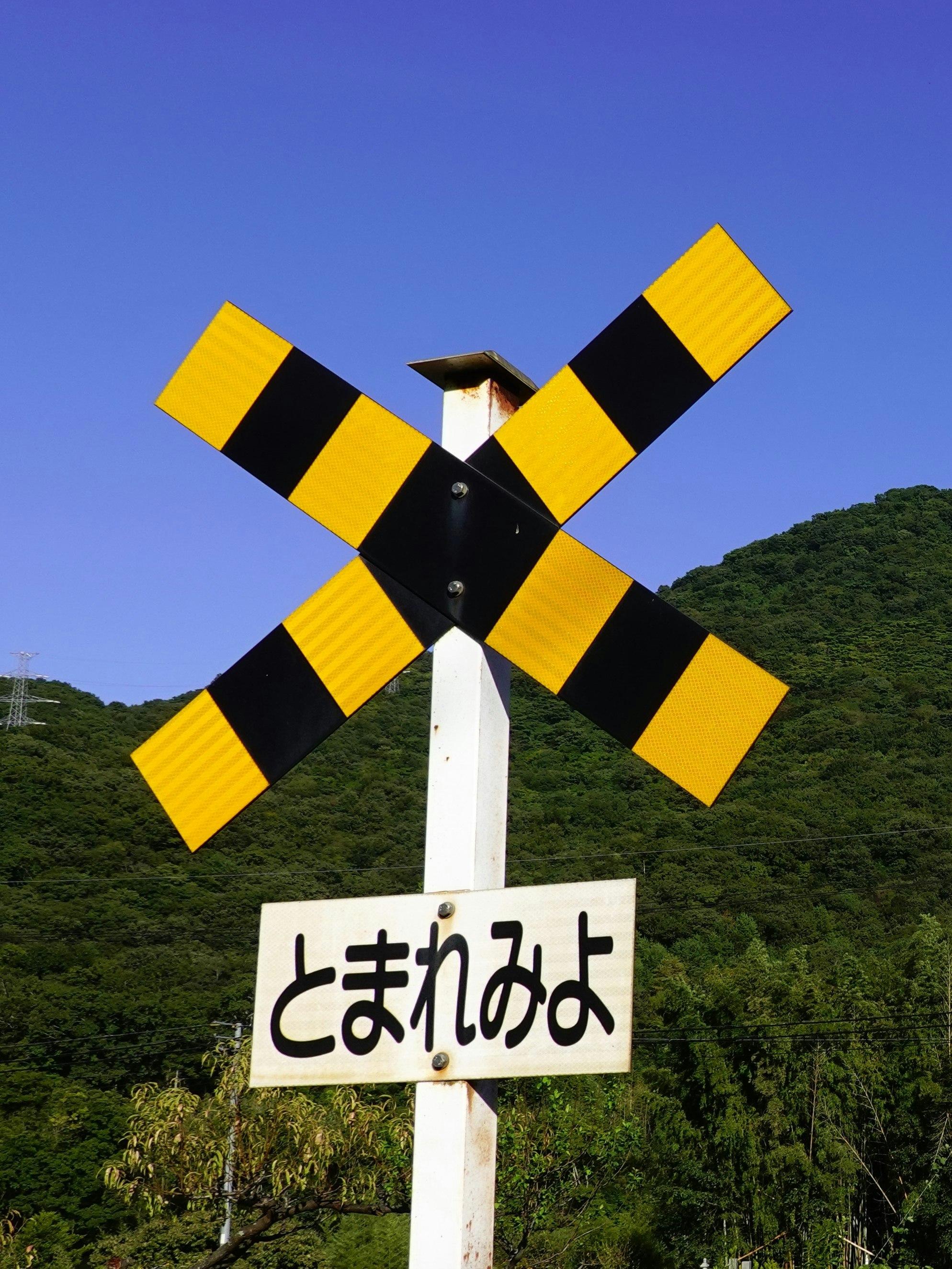 山の緑の中に立つ黄色い注意標識と看板