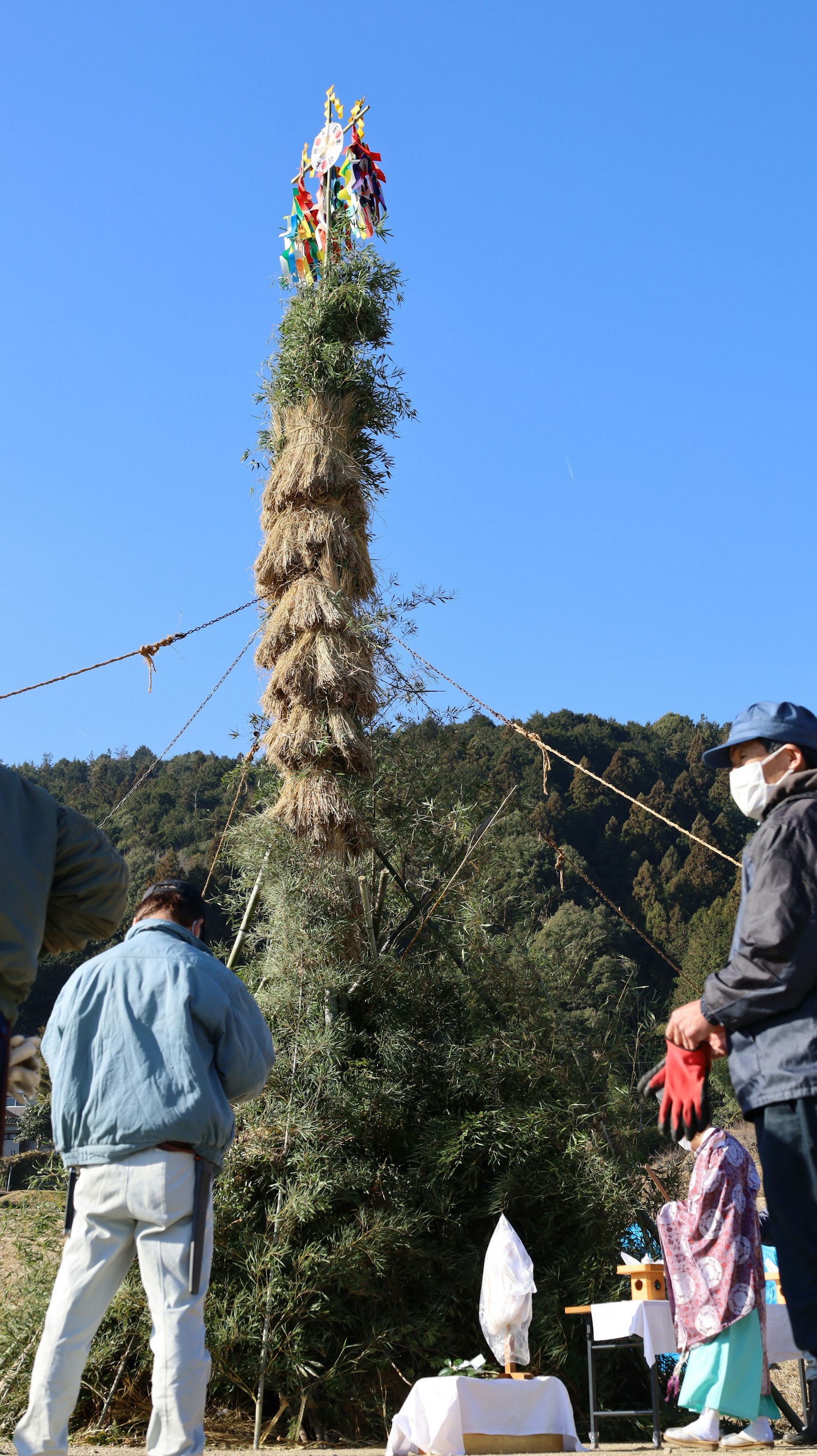 Personas levantando un árbol alto durante un festival