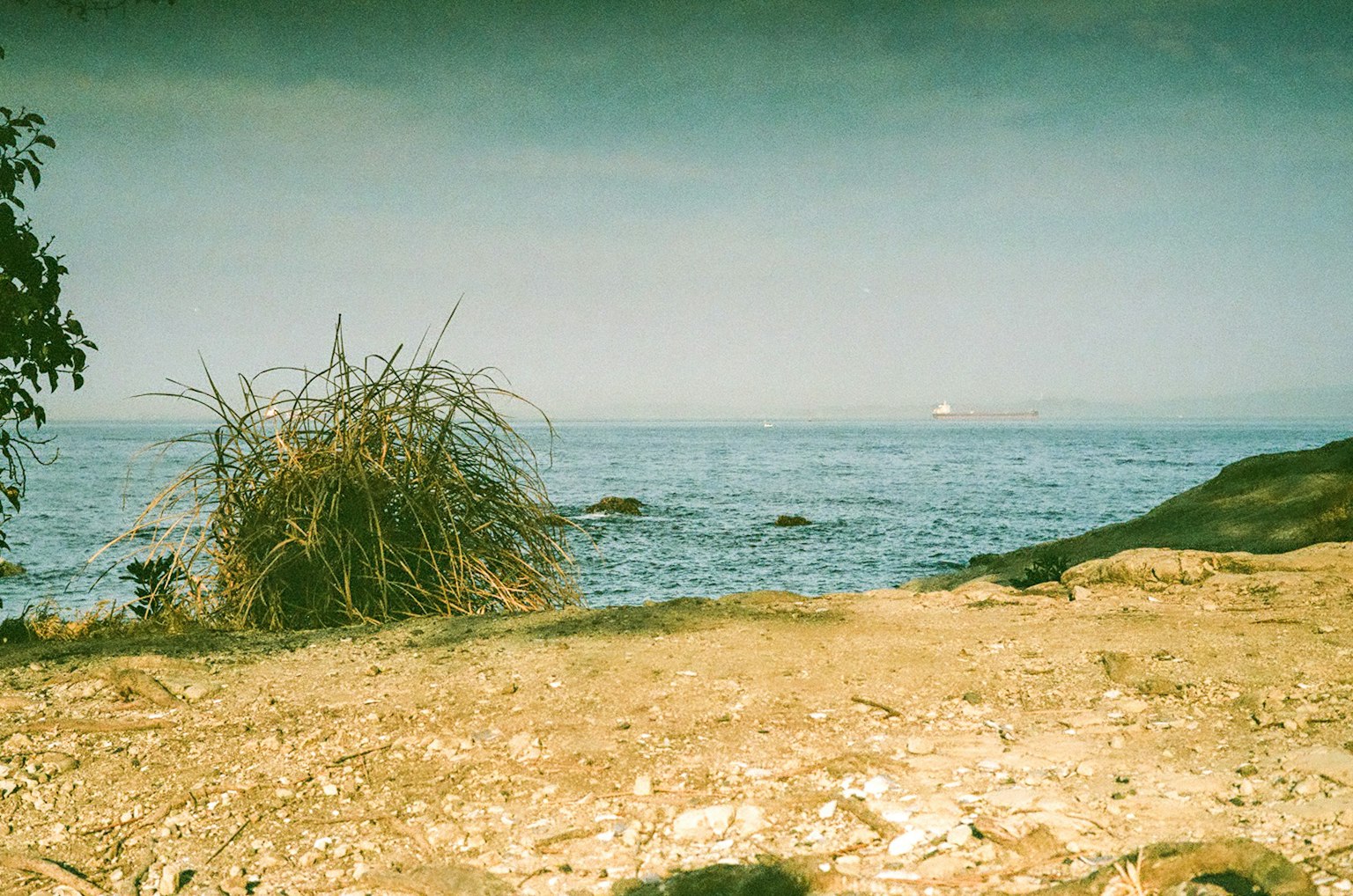ทิวทัศน์ชายฝั่งที่มีหญ้าและชายหาดทราย