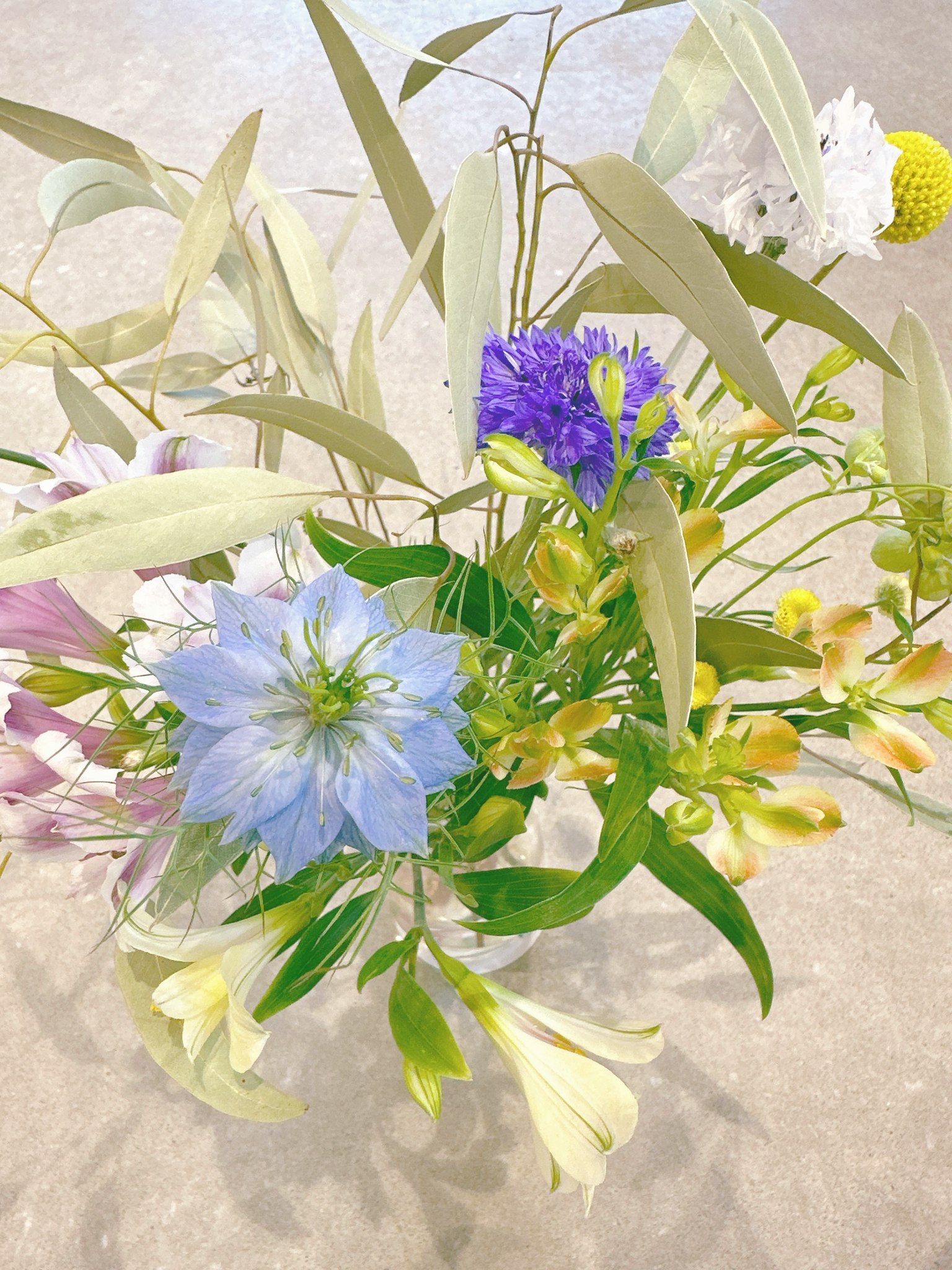 Un vaso pieno di un mix di fiori blu e di vari colori