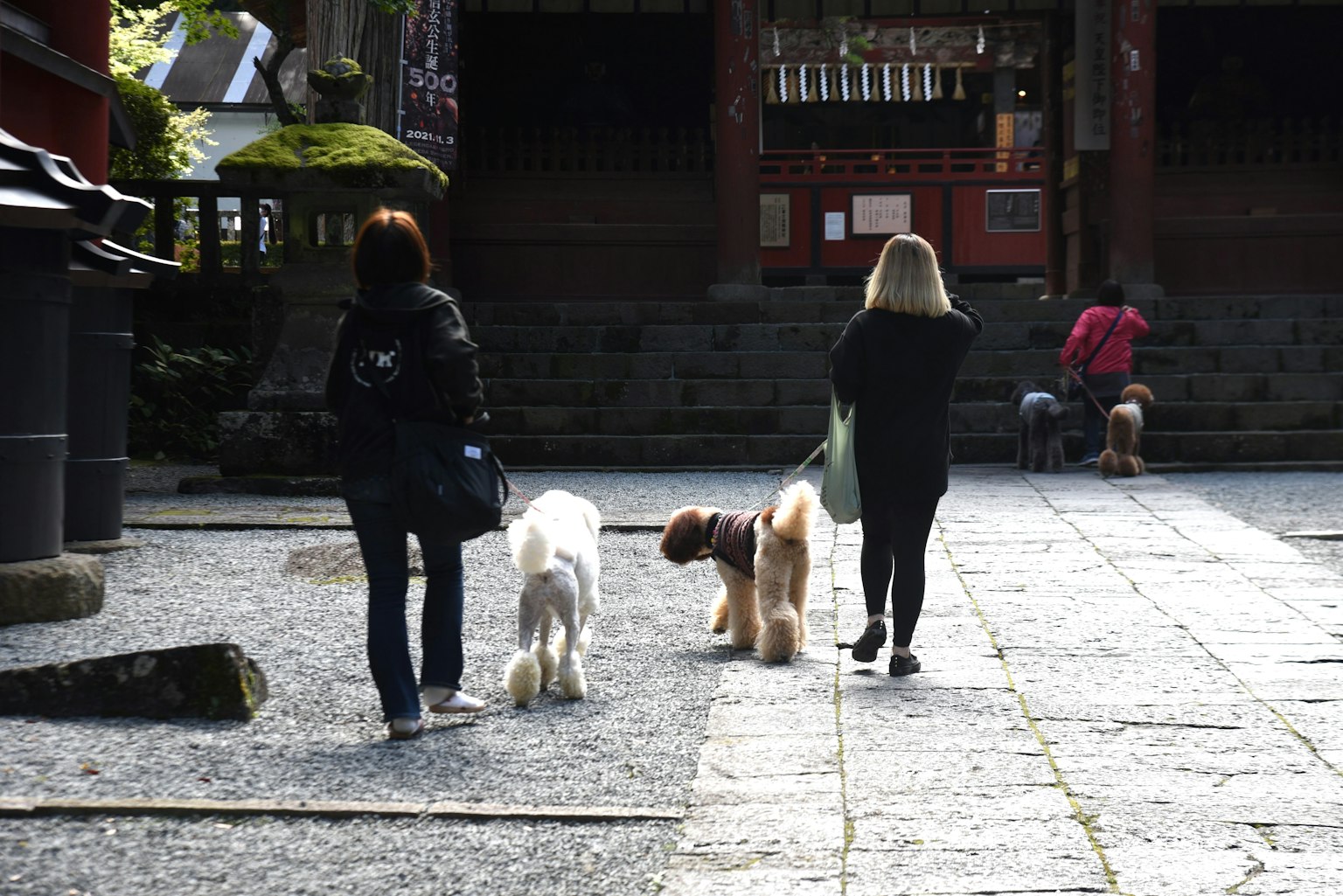 兩名女性在寺廟院子的石板路上遛狗