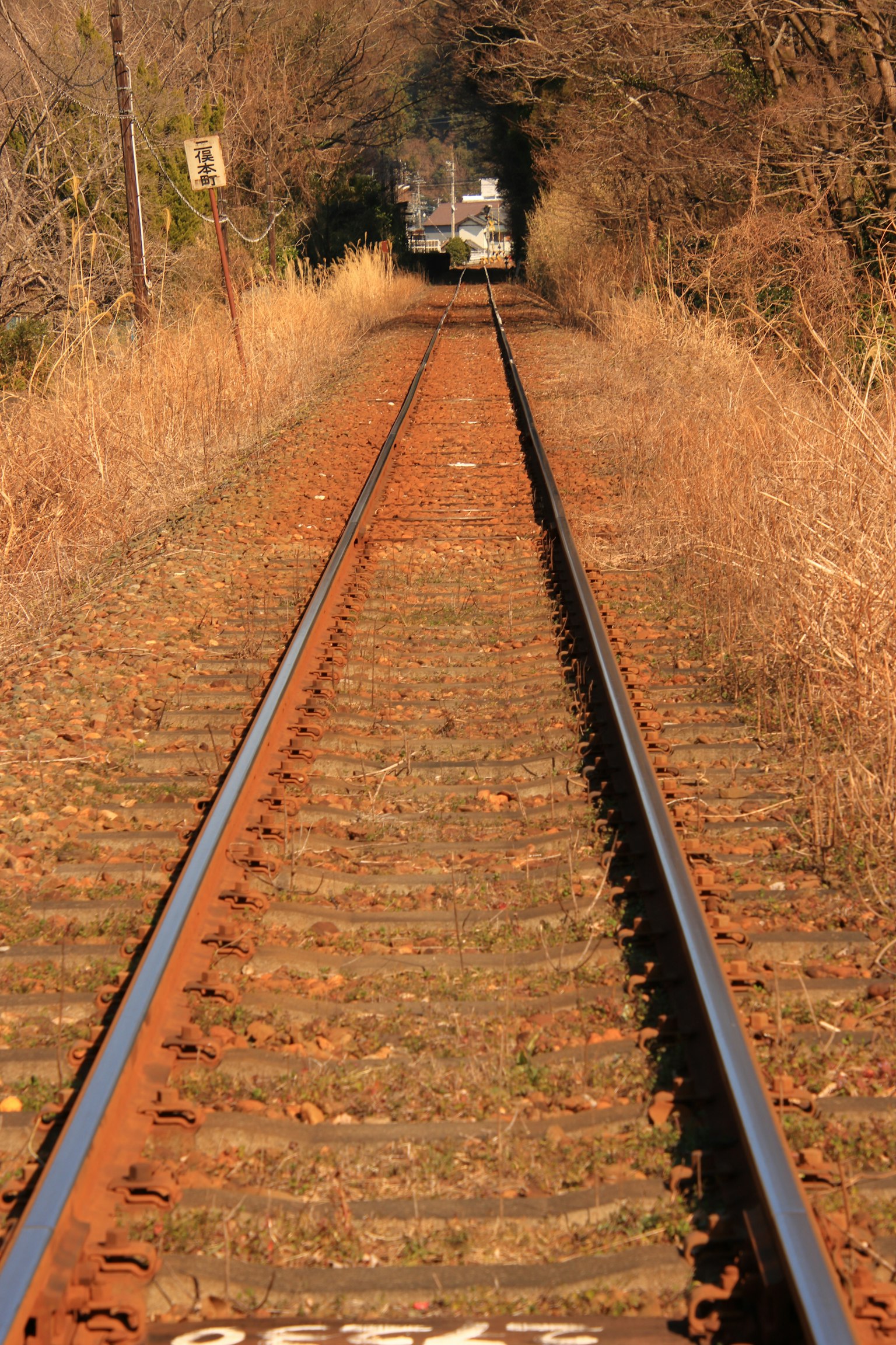 Railroad tracks with grass growing alongside and a train in the distance