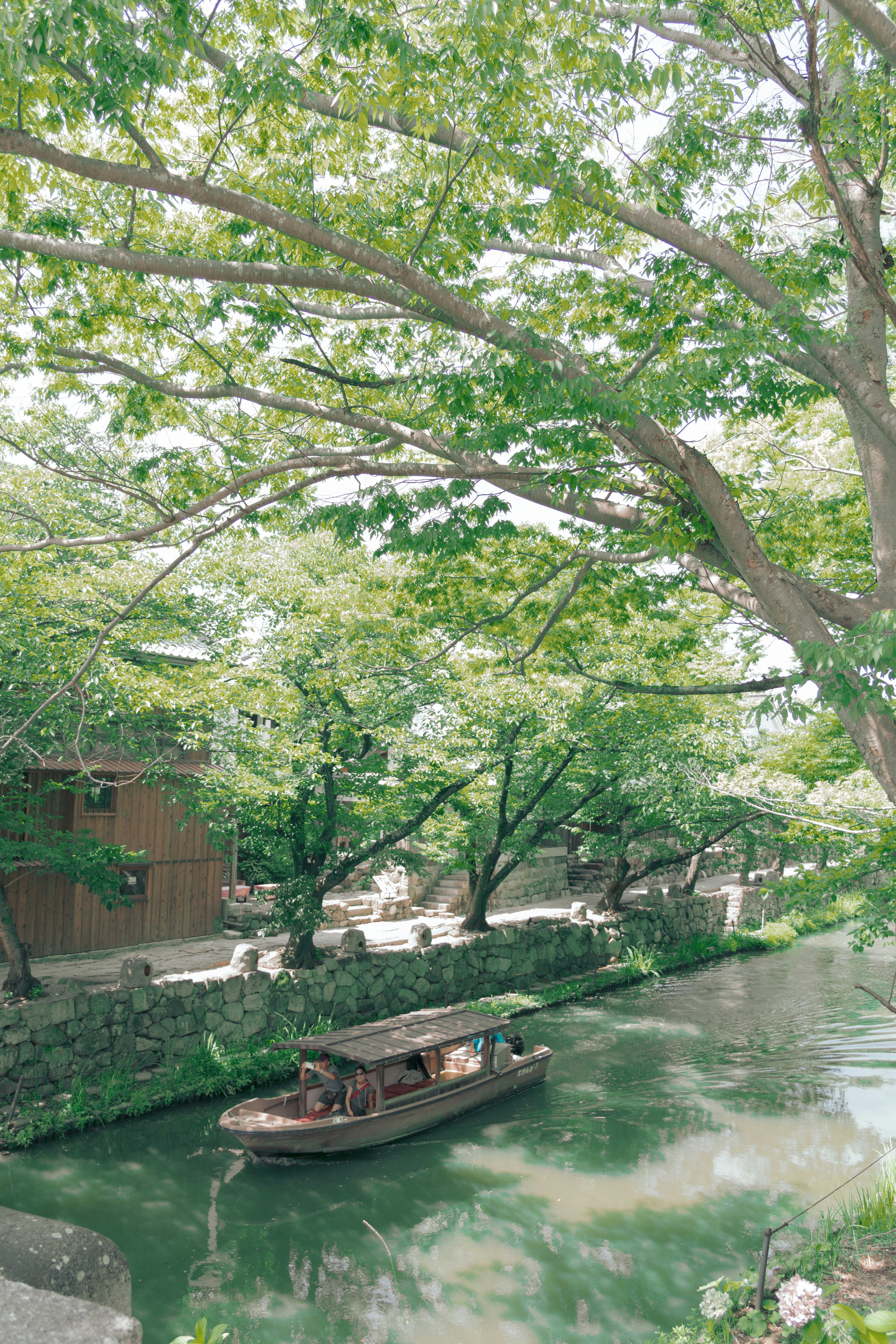 緑の木々に囲まれた川を進む小舟のある風景