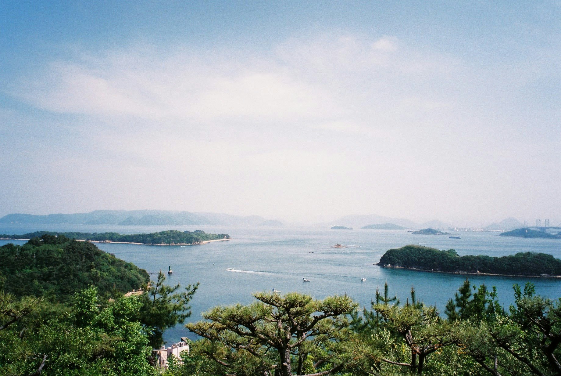 海と入り江を見下ろす緑の丘の風景