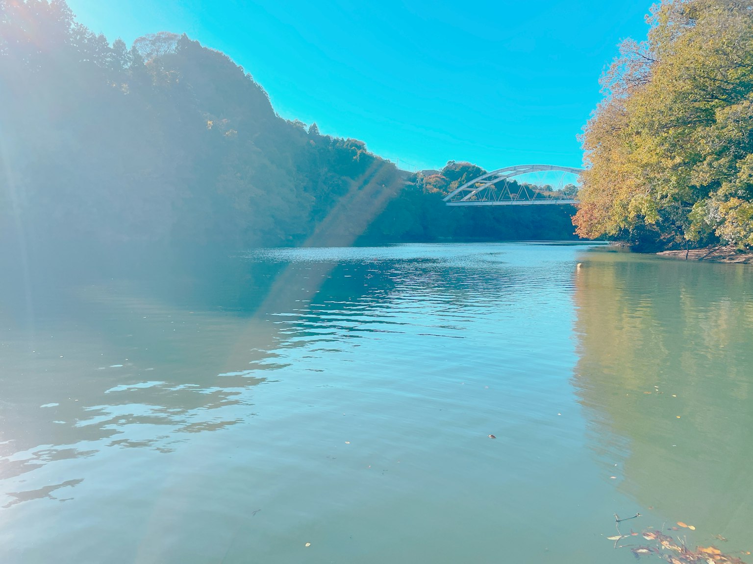Scenic lake view with clear blue sky and calm water surrounded by colorful trees