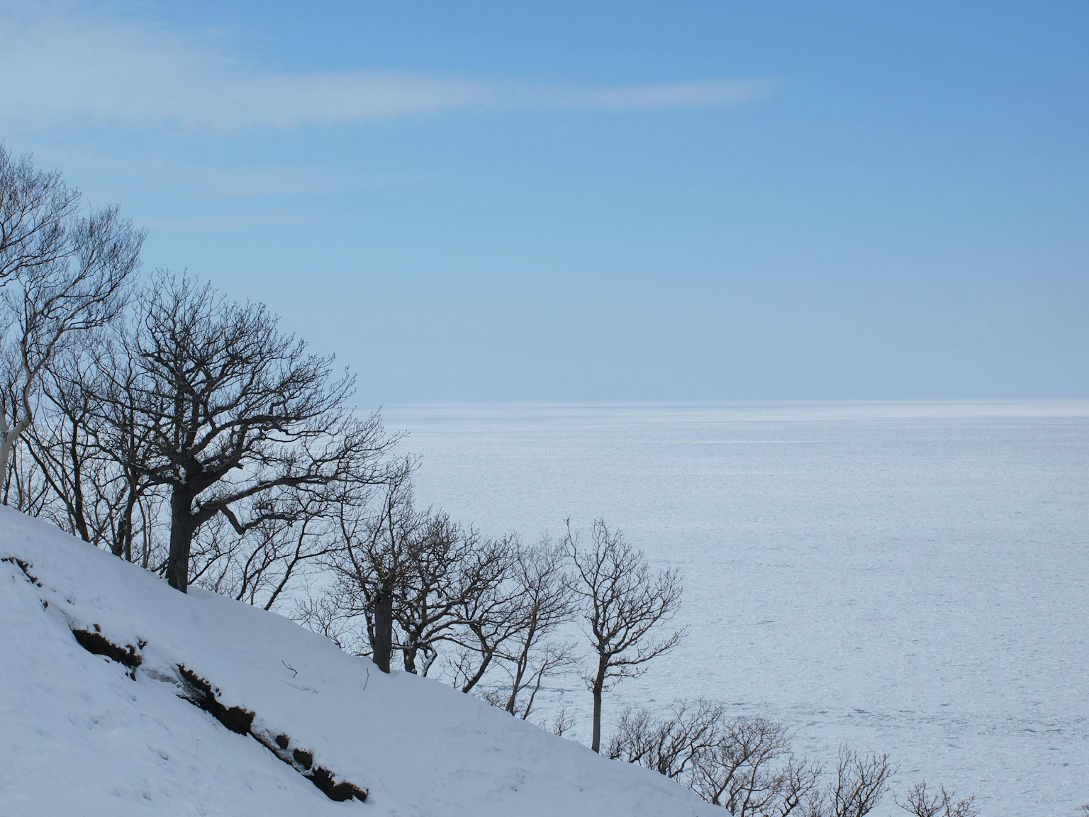 Colline enneigée avec des arbres nus sous un ciel bleu clair