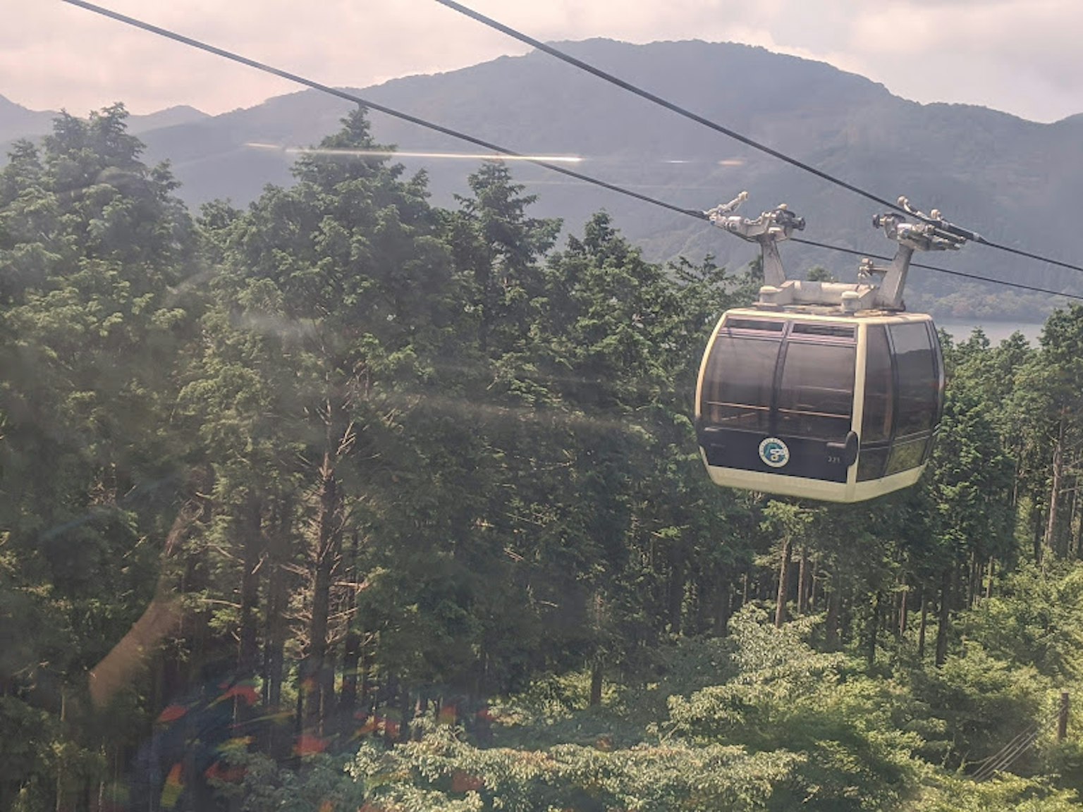 A gondola cabin moving over a lush green forest