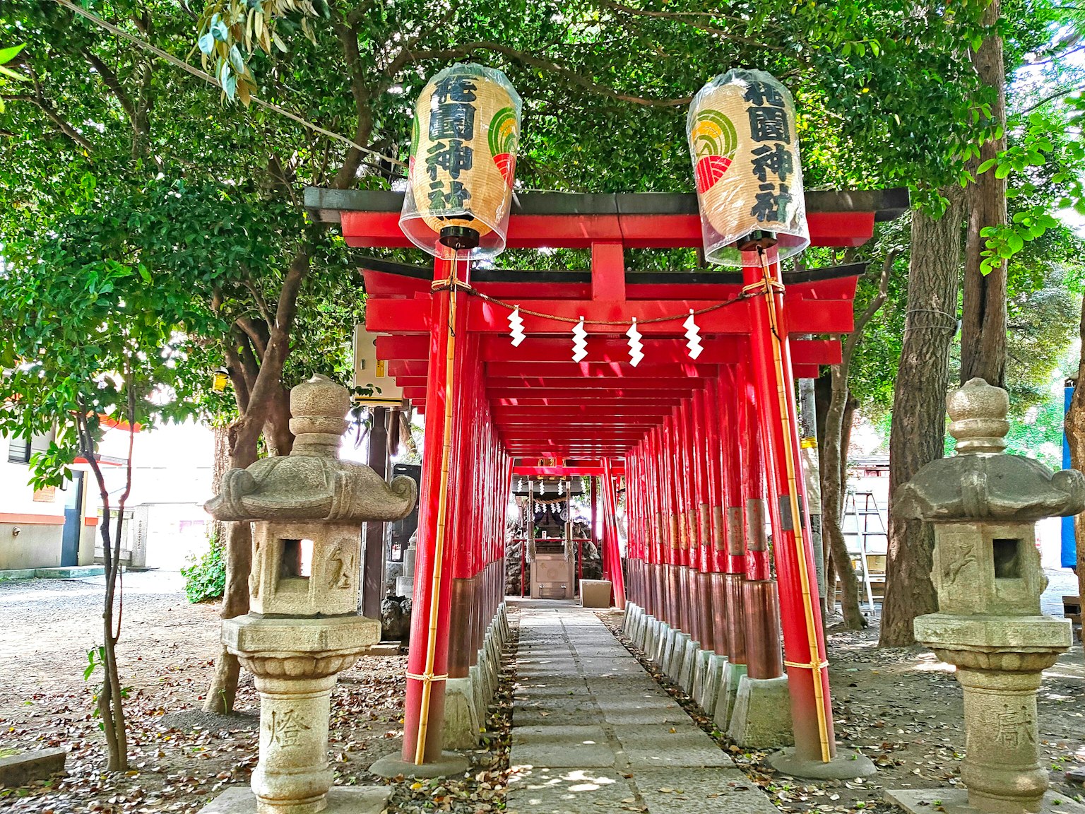 Sentiero di un tempio con torii rossi e lanterne di pietra