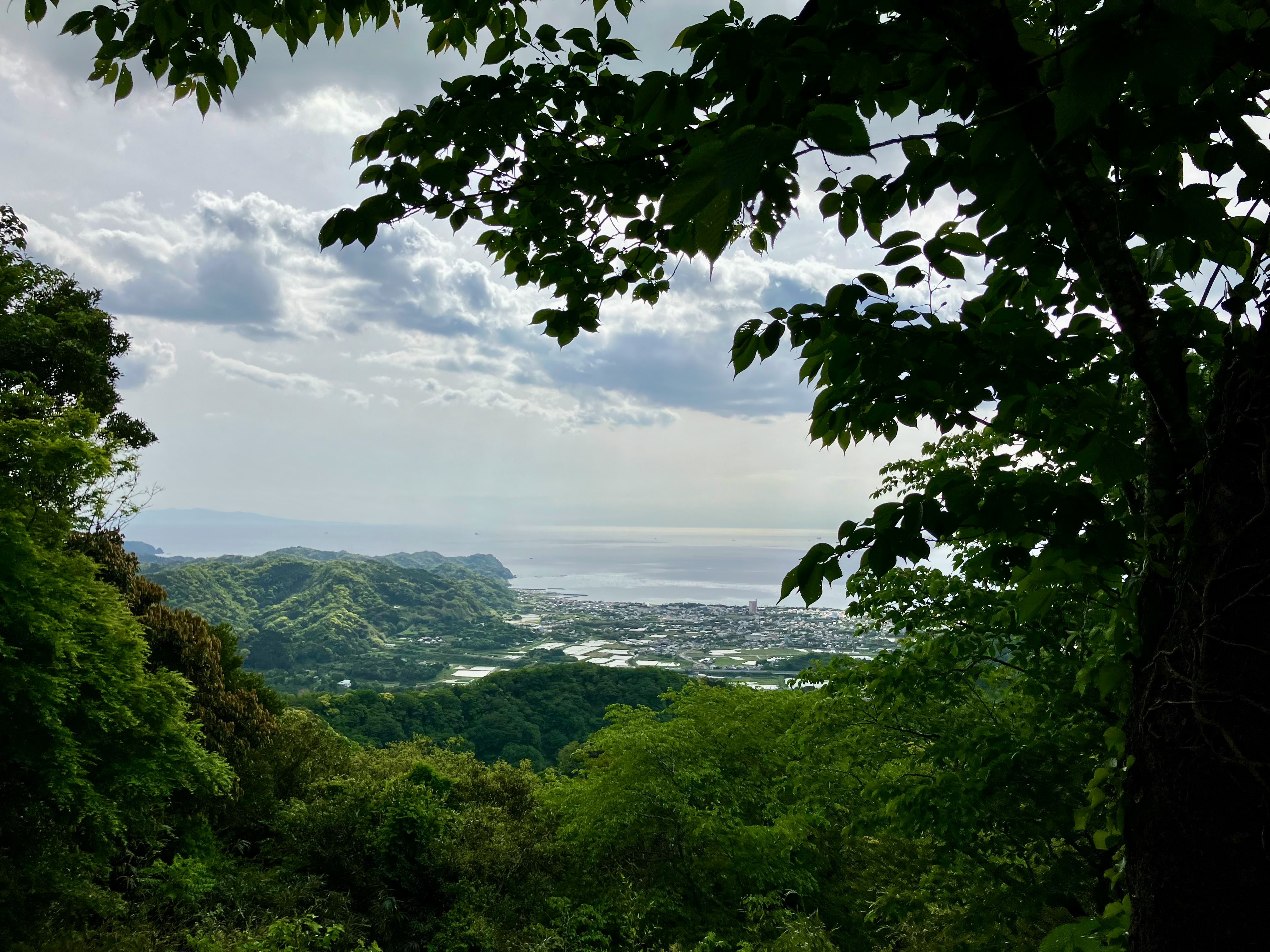 木々の間から見渡す緑の山並みと遠くの街並みの風景