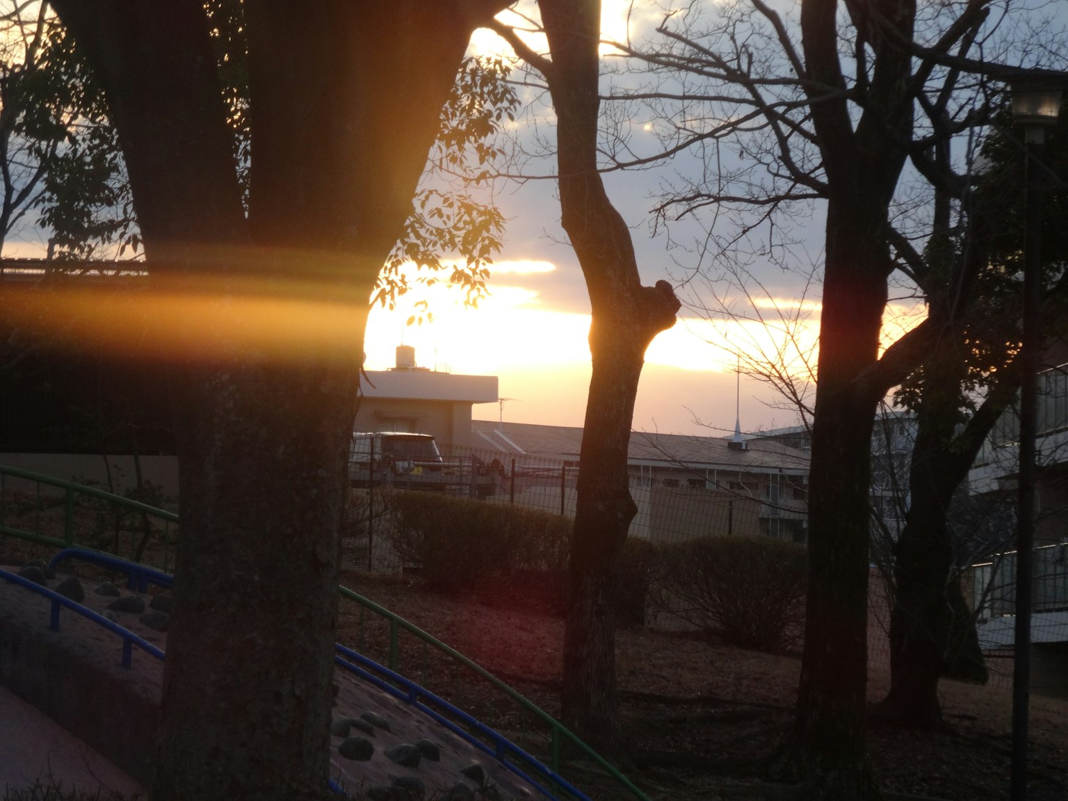Atardecer visto a través de los árboles en un parque con luz cálida