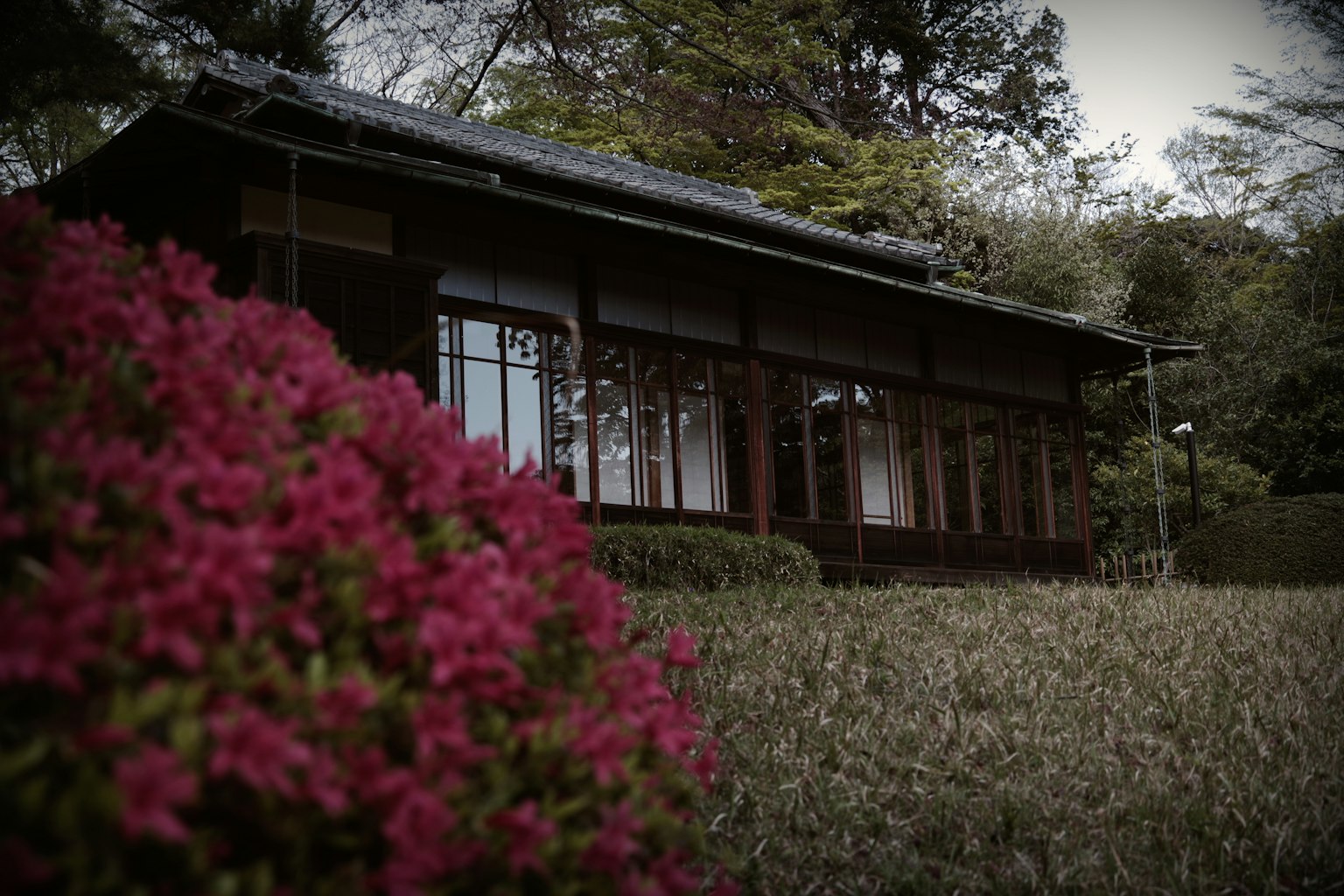 Maison japonaise traditionnelle entourée de verdure et de fleurs roses vives