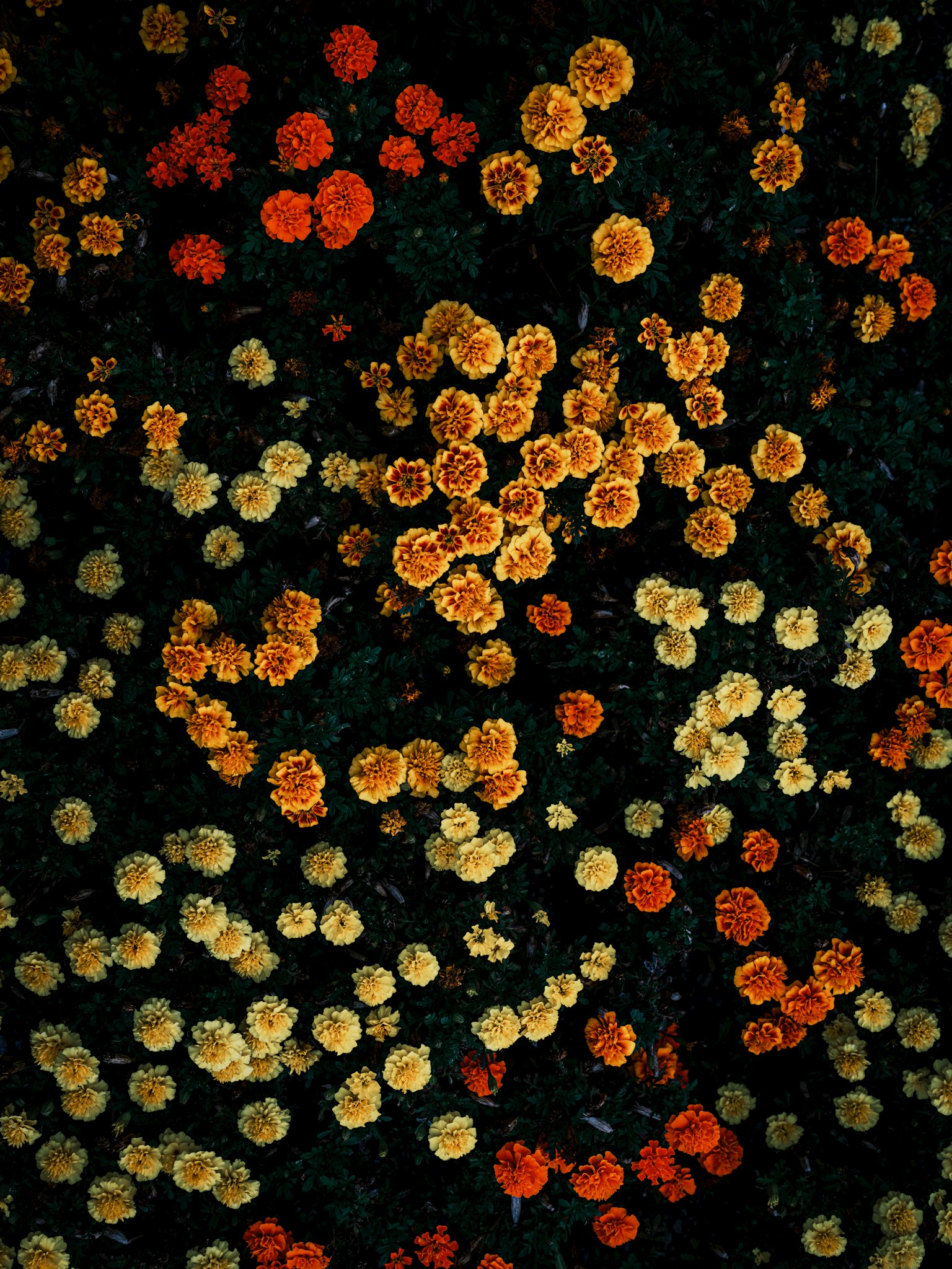 photo-sEoHNvlDlYWCCuXFbStE-image