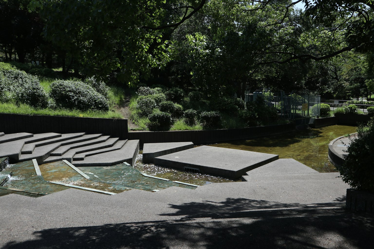 郁郁蔥蔥的公園景觀，帶有階梯狀混凝土座位和綠色植物