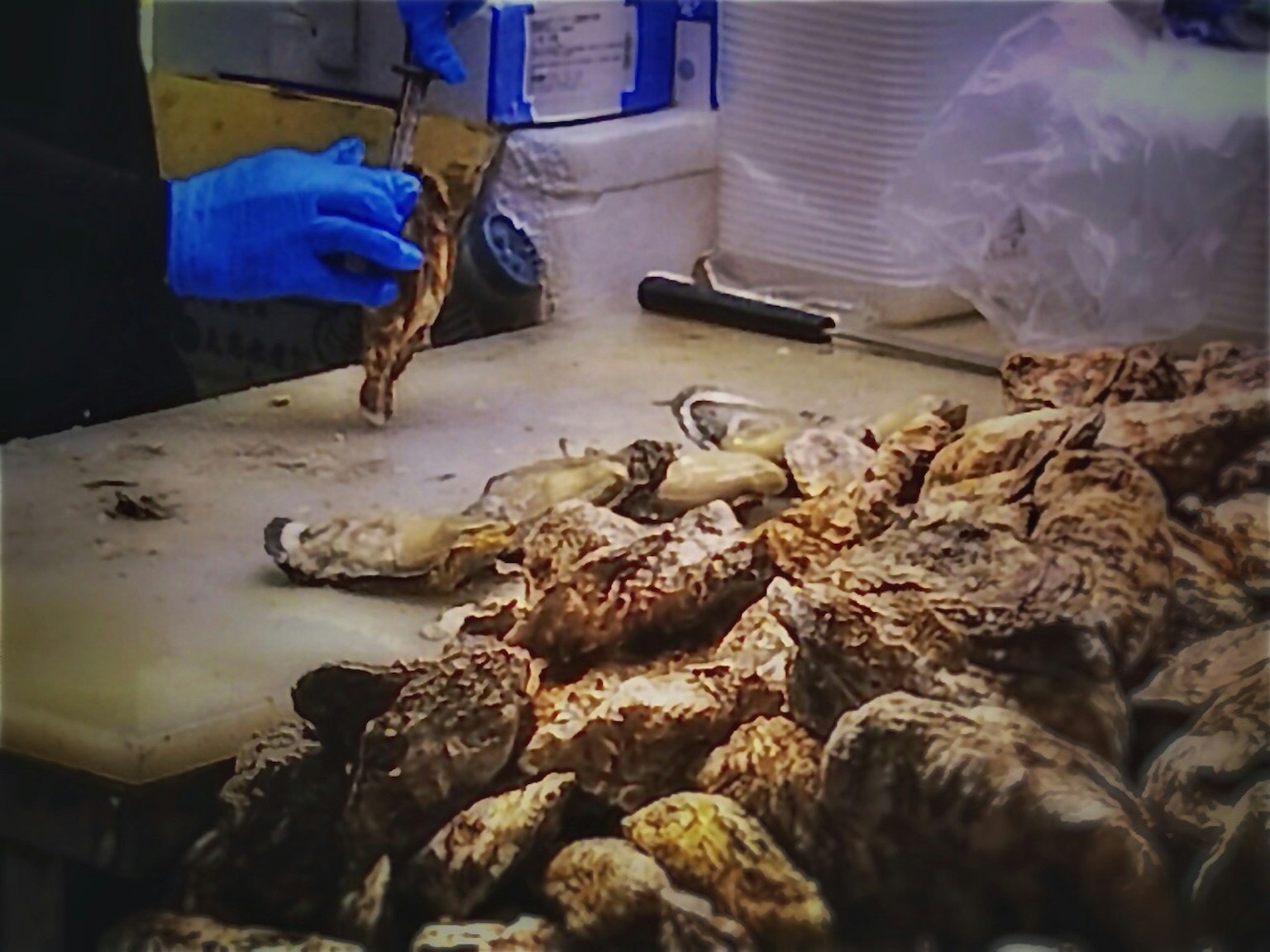 Una mano con guante abriendo una ostra con un montón de ostras en la mesa