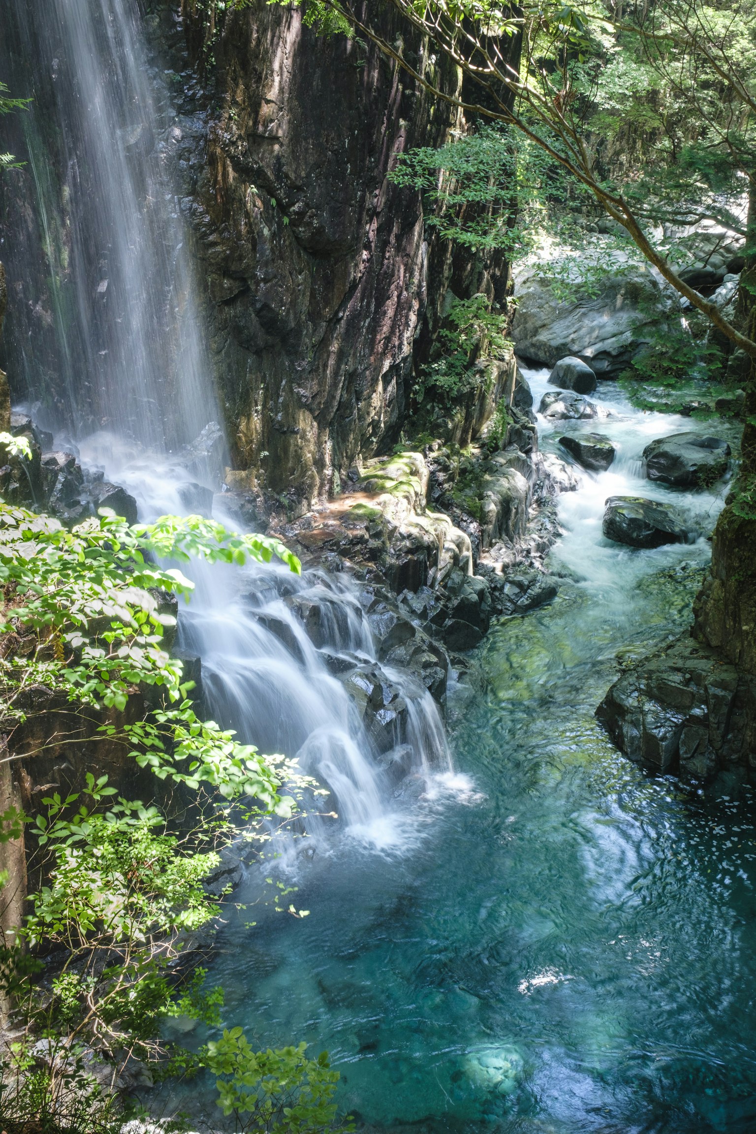Hermosa cascada rodeada de agua azul y vegetación exuberante