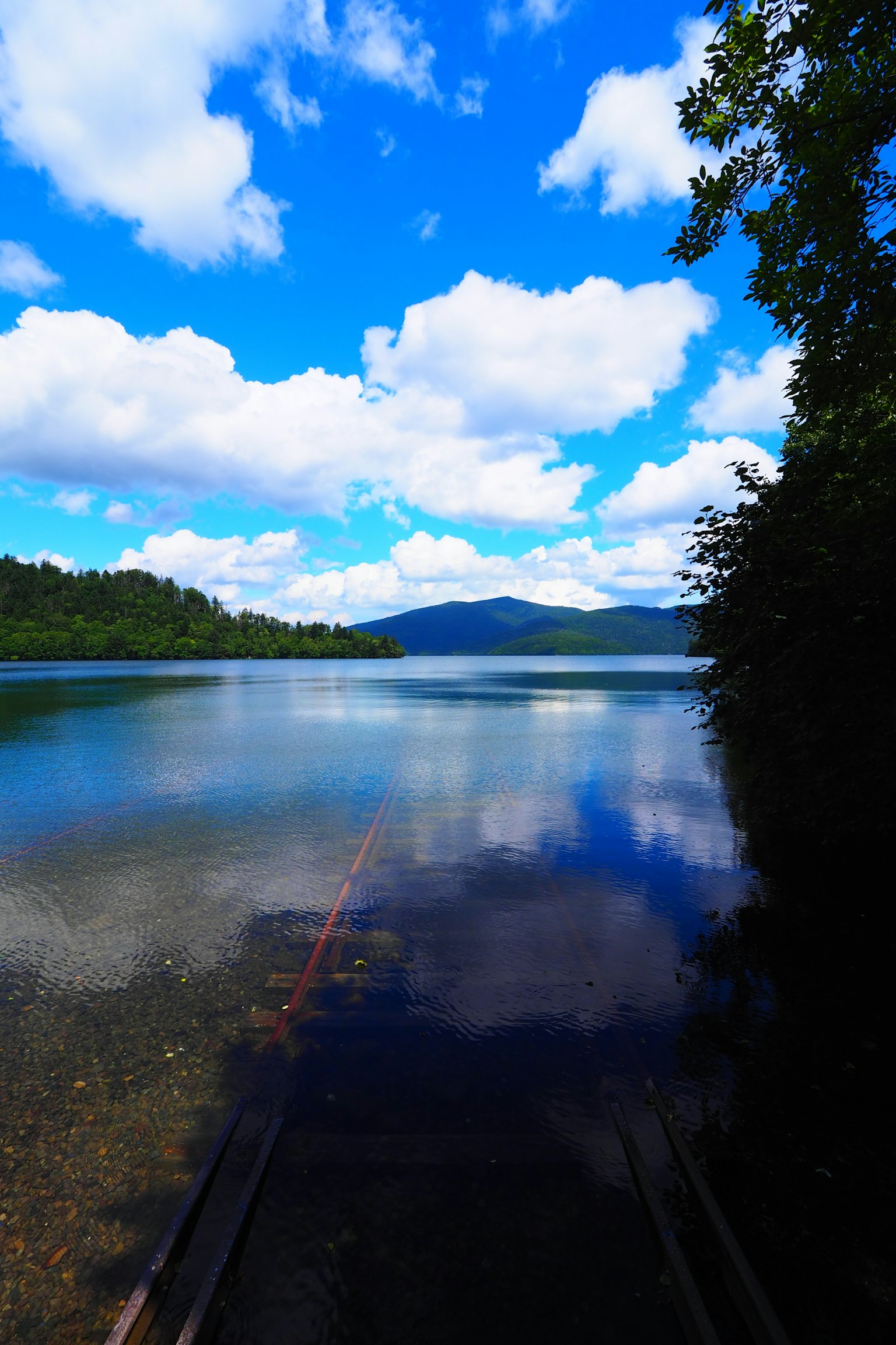 Un lago sereno che riflette un cielo blu brillante con nuvole bianche soffici circondato da alberi verdi lussureggianti e montagne lontane