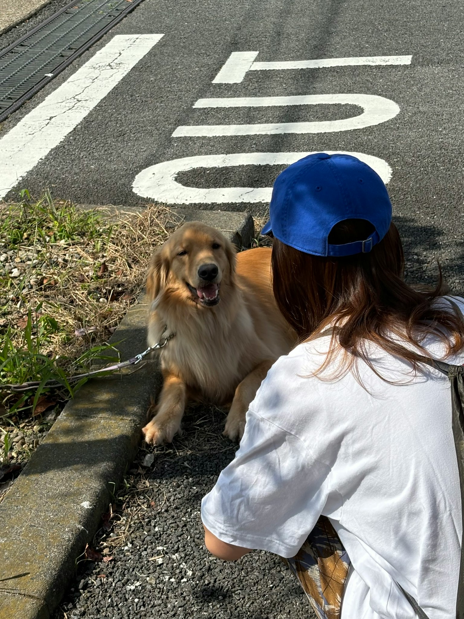 一名女性在靠近标有'OUT'标志的道路上与狗互动