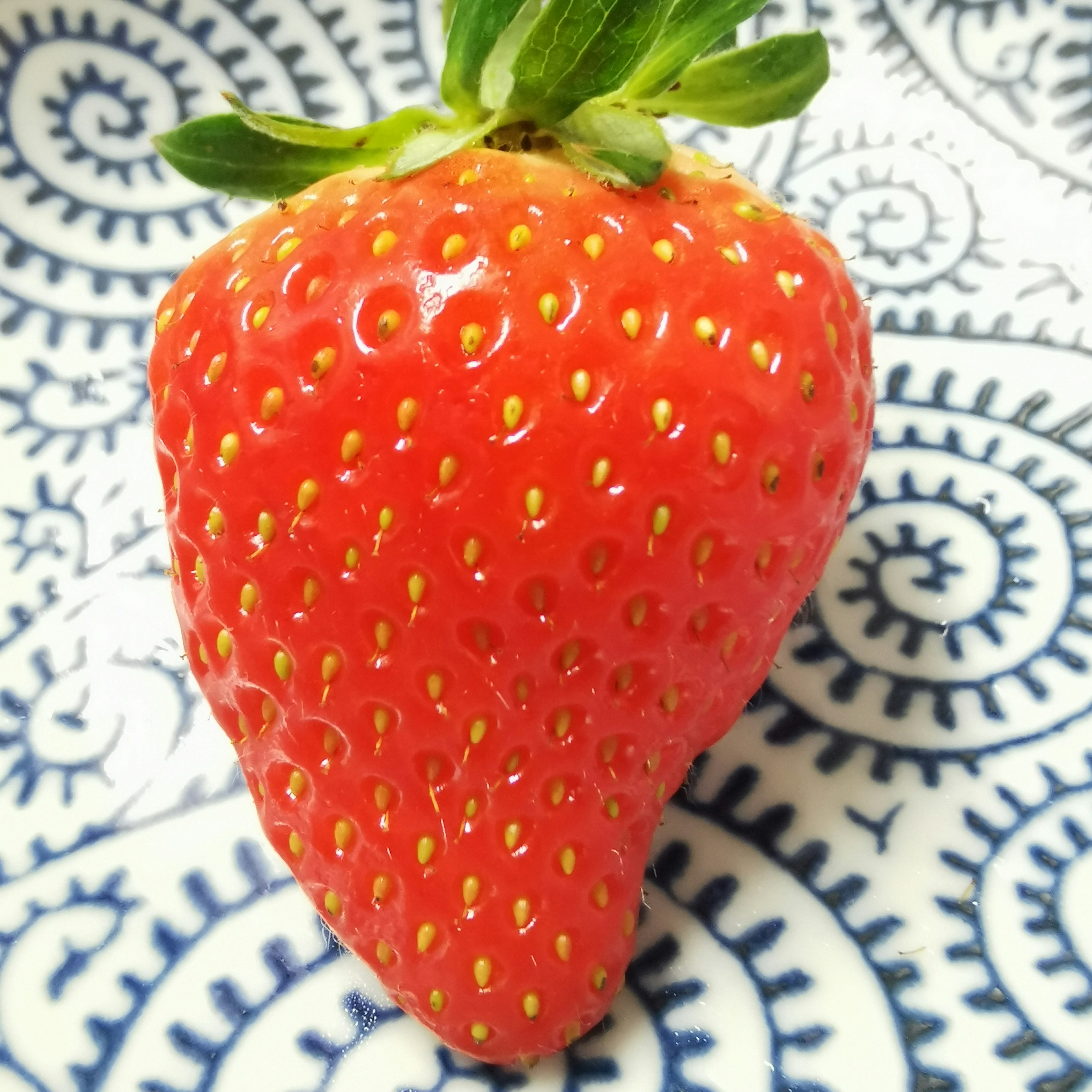 蓝白花纹盘上的草莓特写