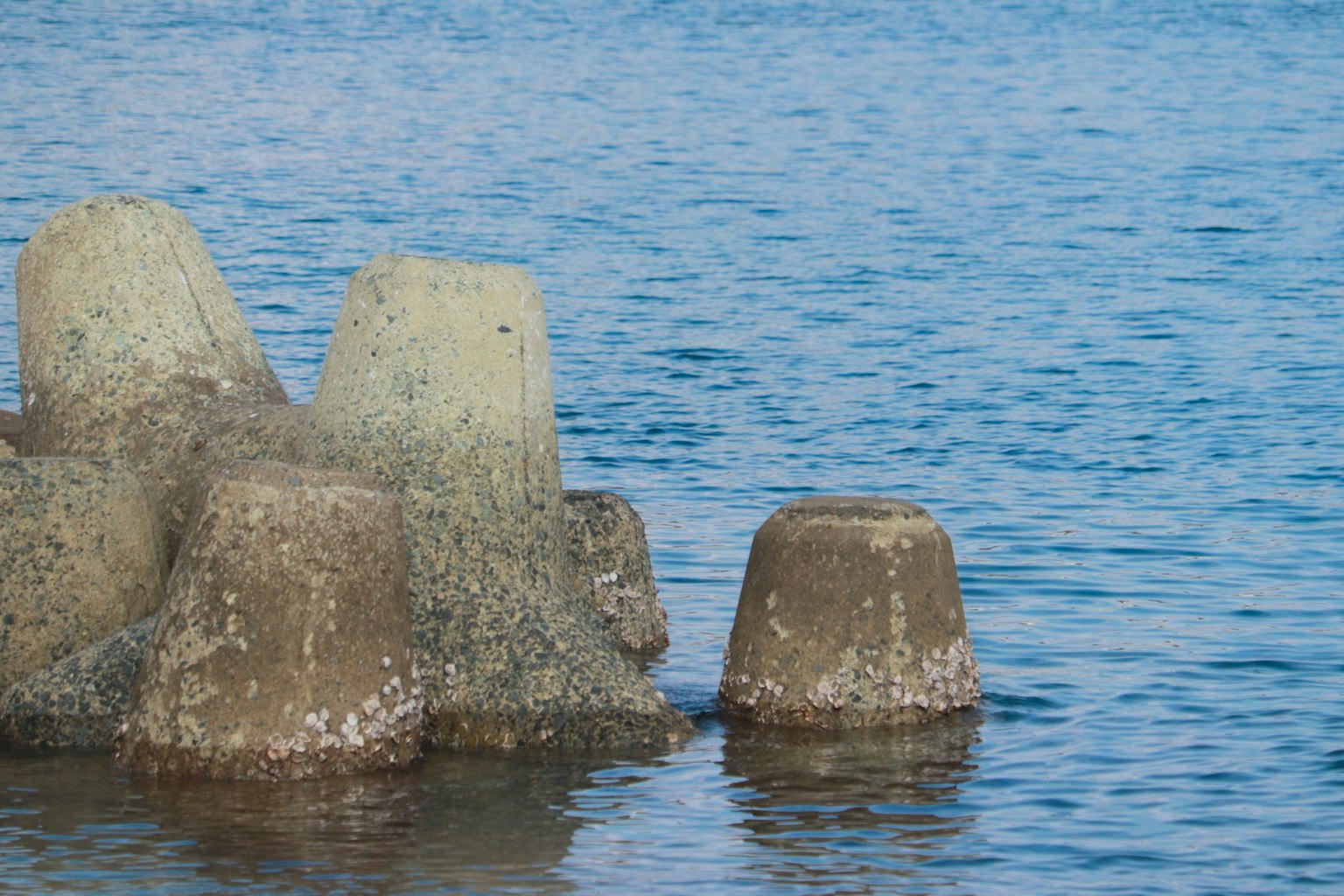 Bloques de concreto parcialmente sumergidos en agua tranquila