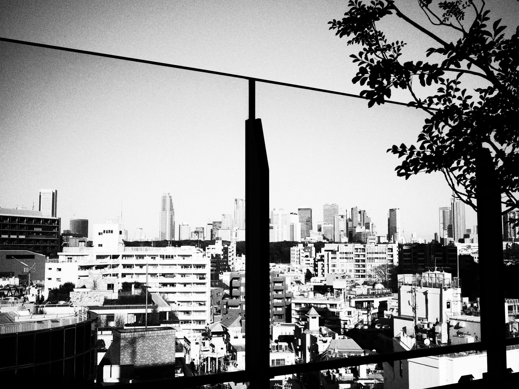 東京の都市景観を背景にしたモノクロの写真 建物と木のシルエットが見える