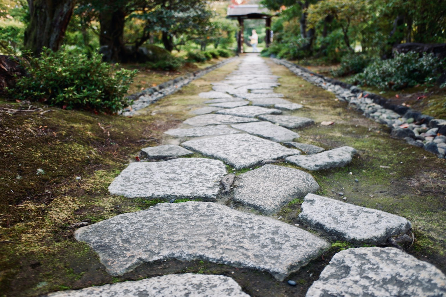 石頭小徑穿過郁郁蔥蔥的花園