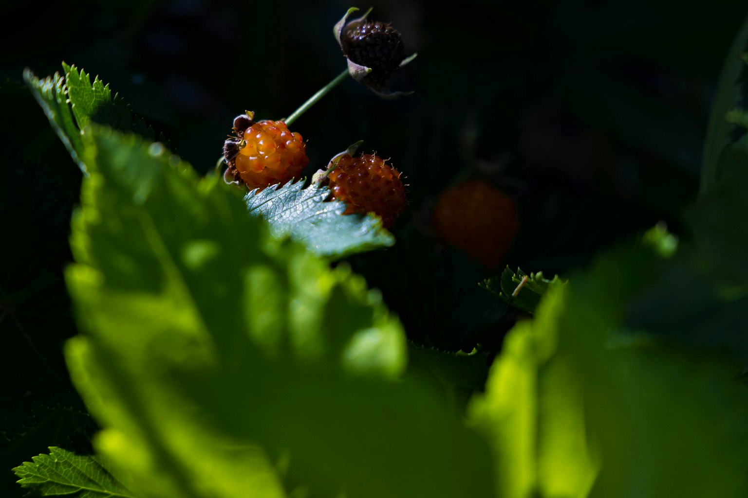 photo-sGqpXEkL3pqCEnc6kZFf-image