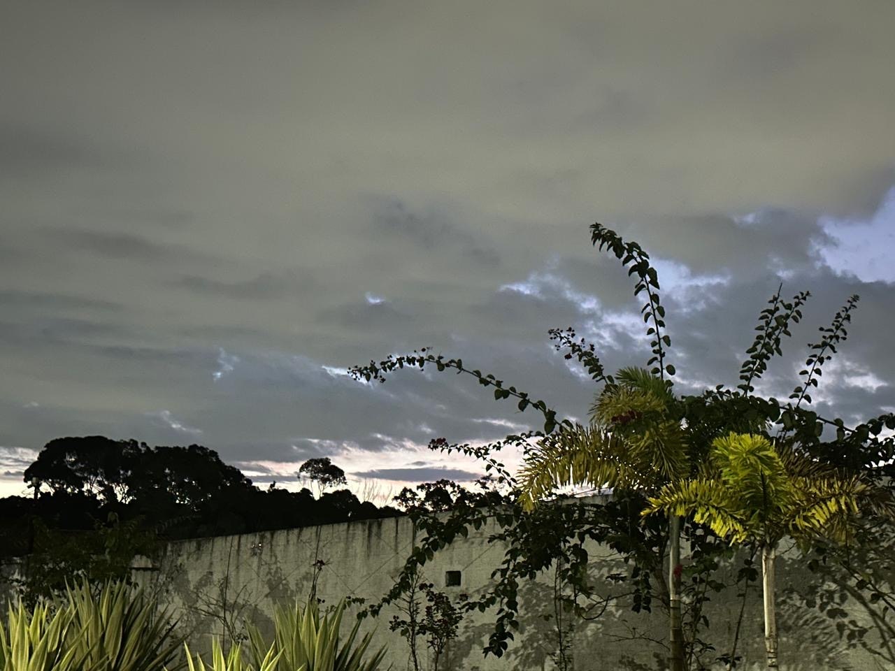 夕暮れの空と雲の下にある木々と壁のある庭