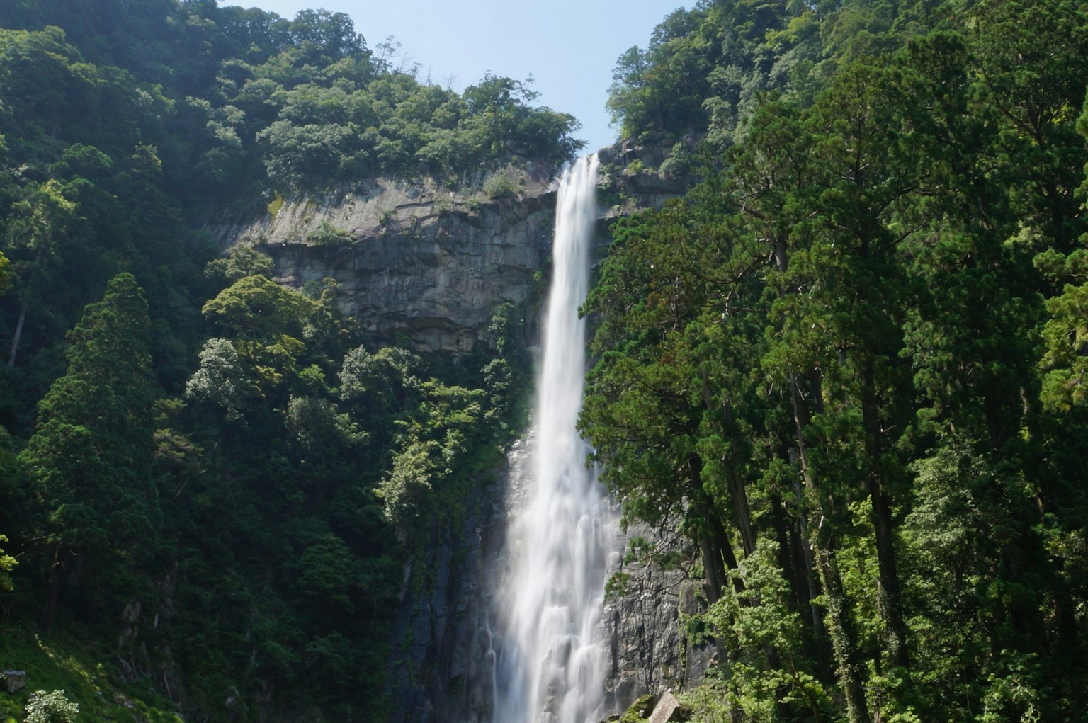 高瀑布从郁郁葱葱的绿色植物中倾泻而下
