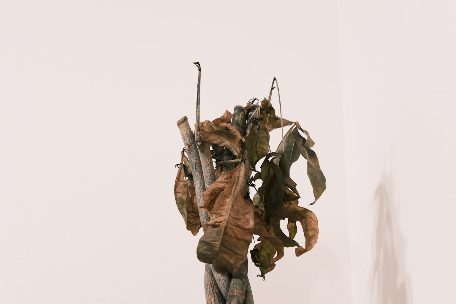 Opera d'arte con foglie secche e rami