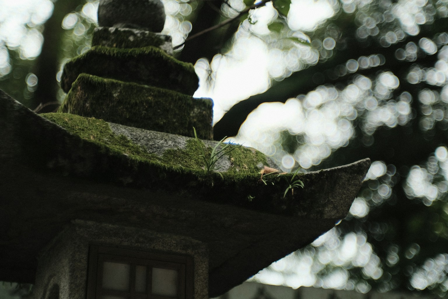 photo-sHixuQAOER2yfo2CQQA4-image