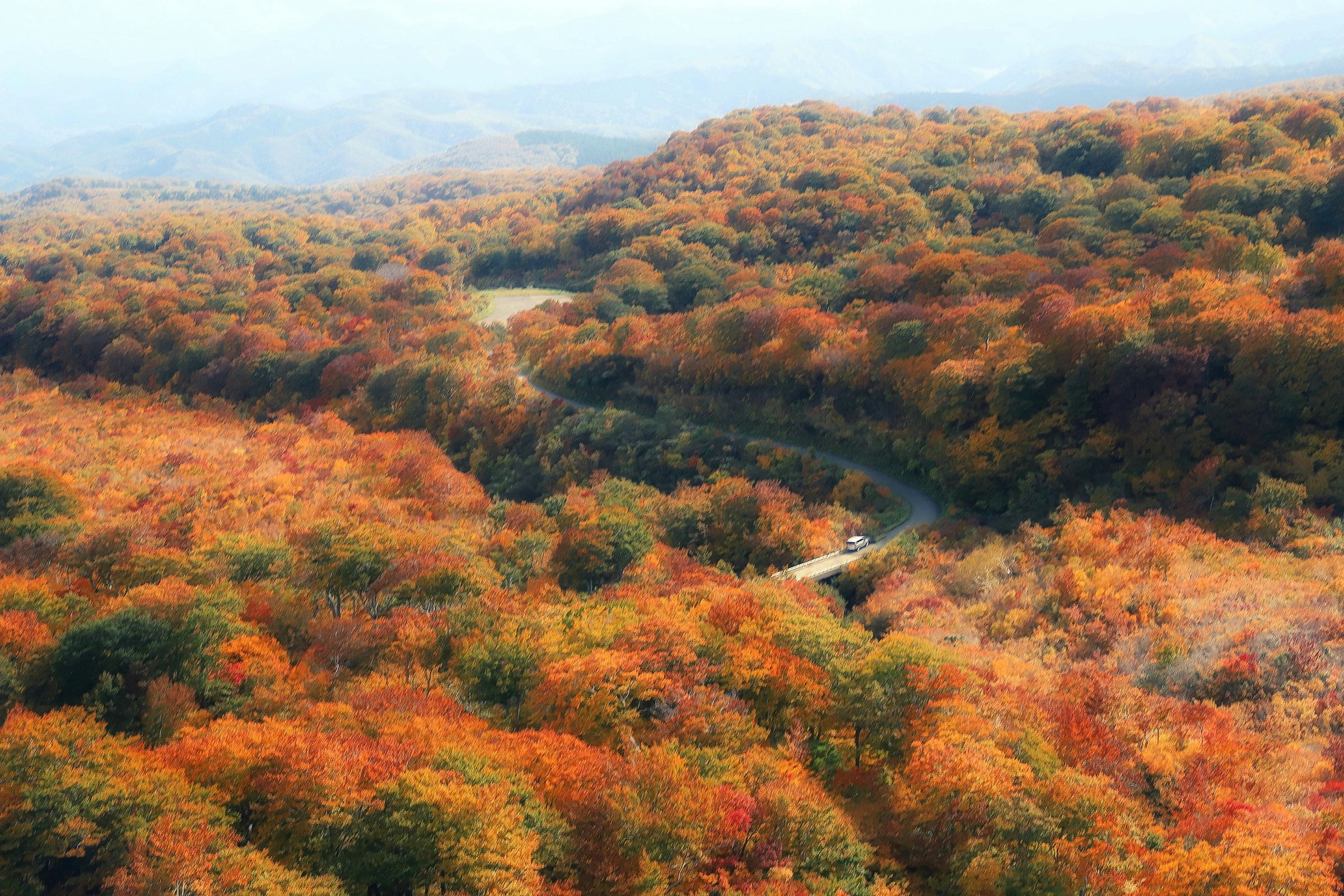 paesaggio autunnale di una valle con un ruscello che serpeggia
