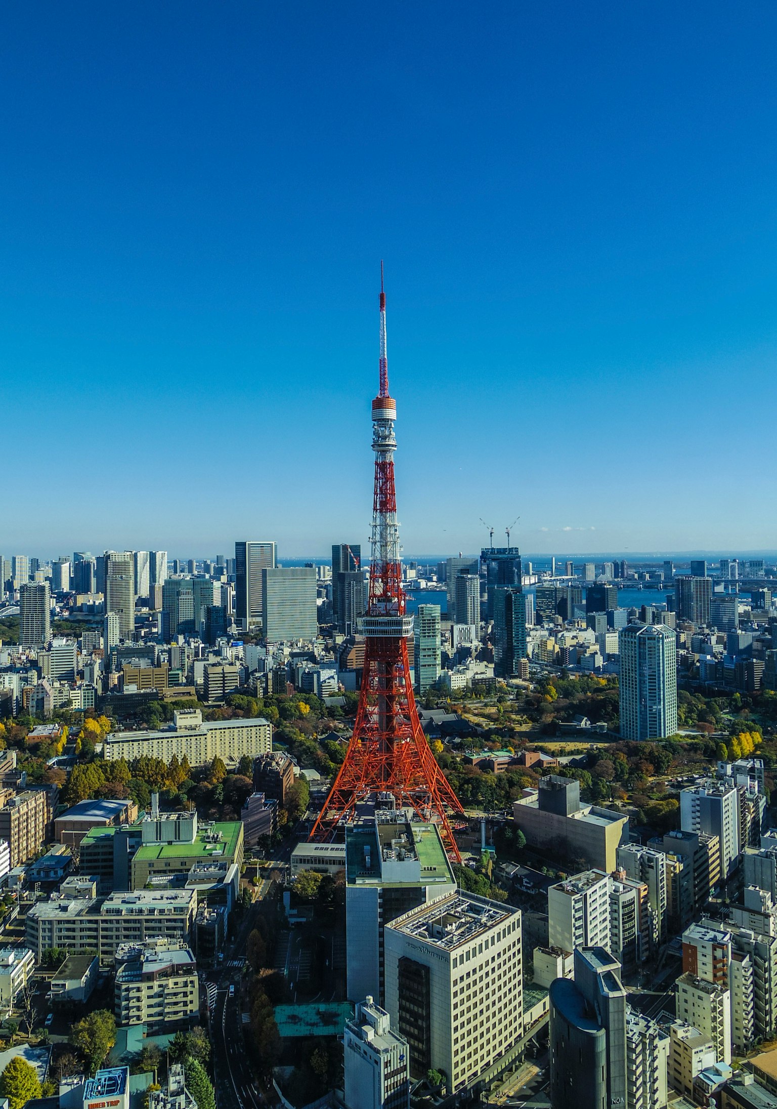東京塔在晴朗的藍天下高聳於城市景觀中